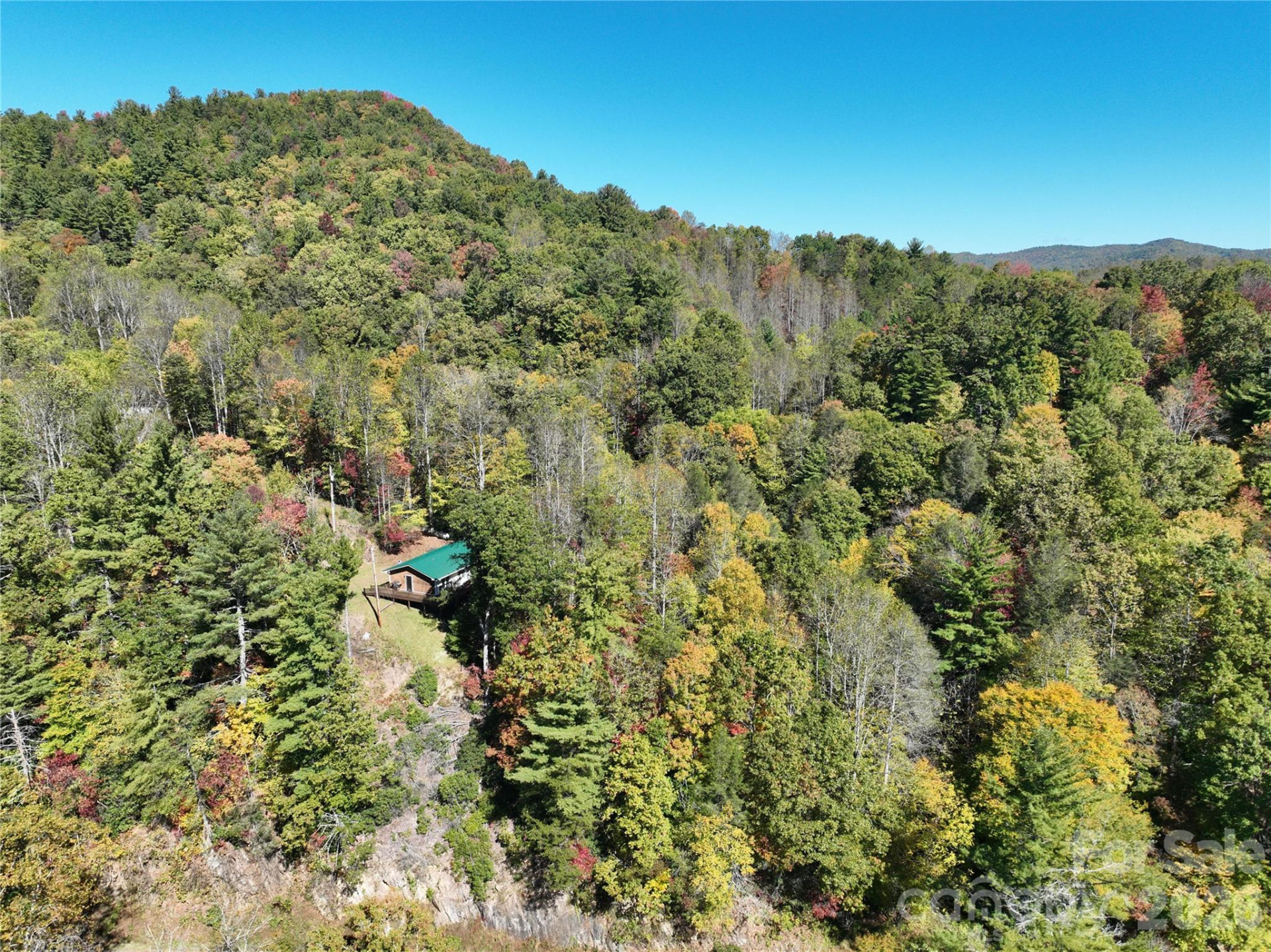 1622 Meadow Fork Road - Photo 6