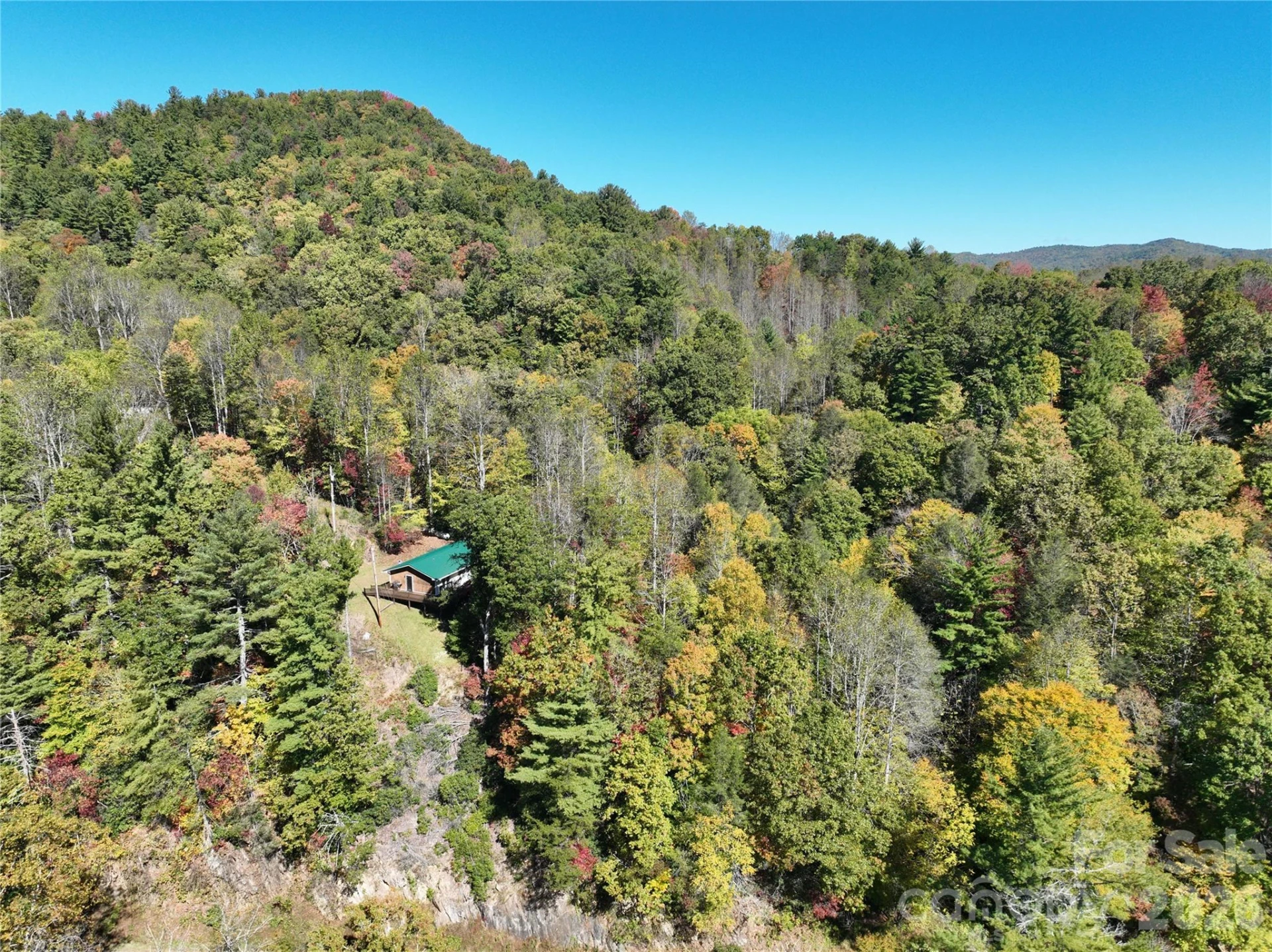 1622 Meadow Fork Road - Photo 6