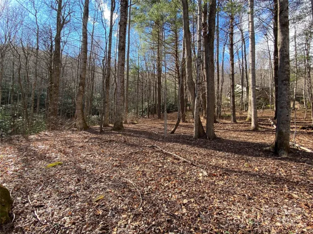 12 Laurel Branch Drive