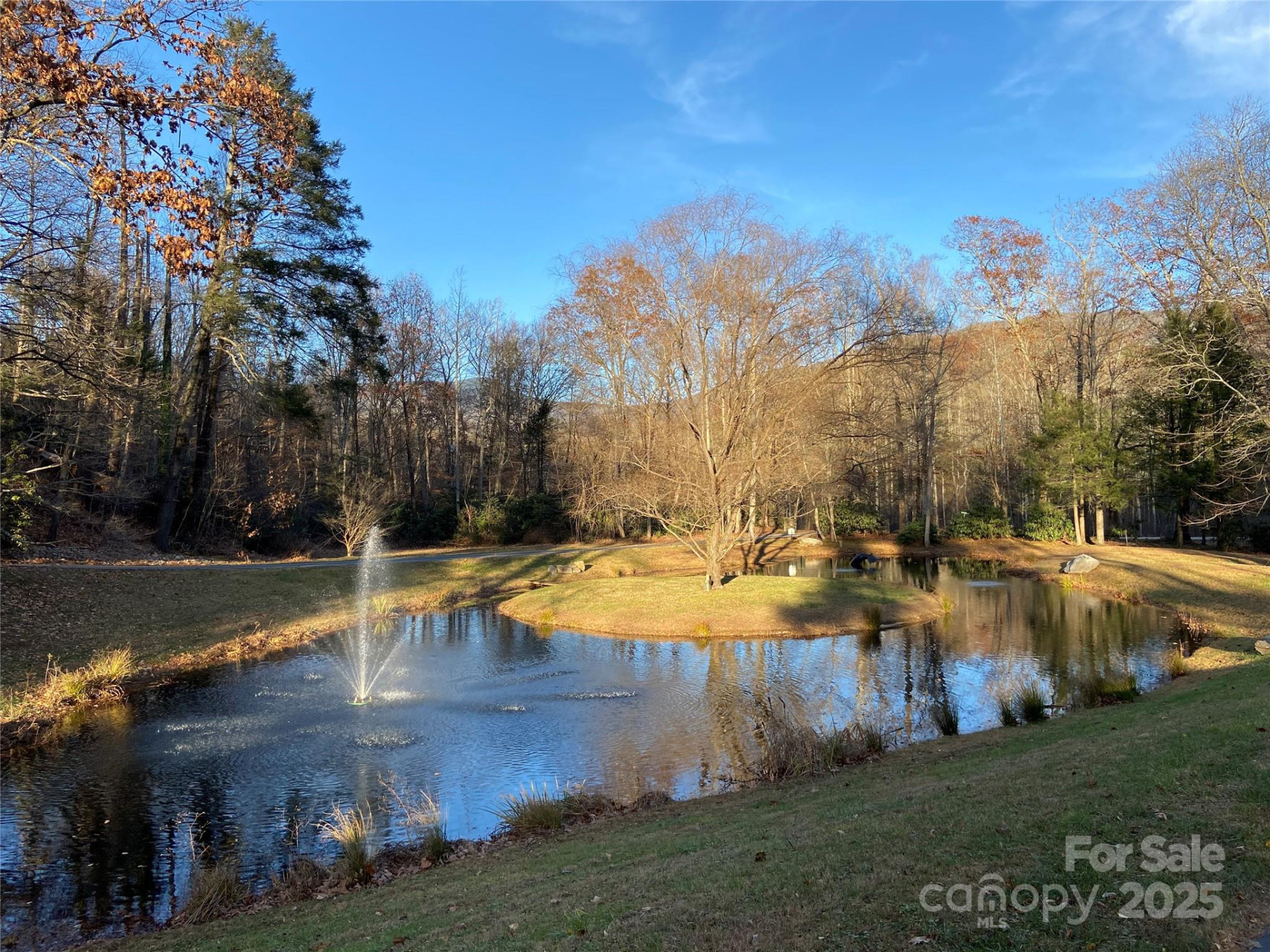 12 Laurel Branch Drive - Photo 2