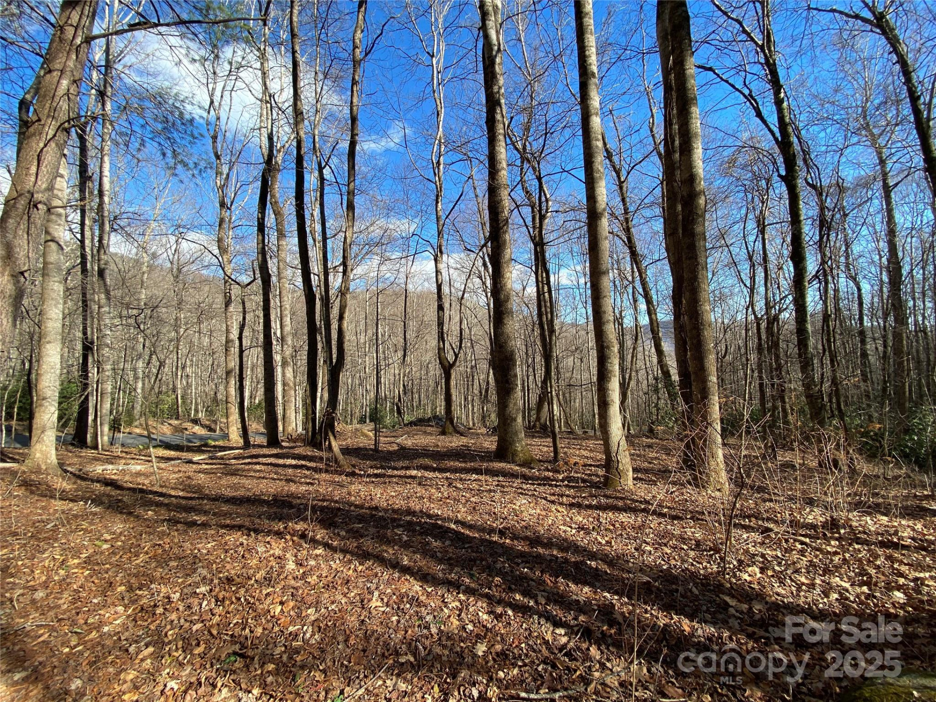 12 Laurel Branch Drive - Photo 11