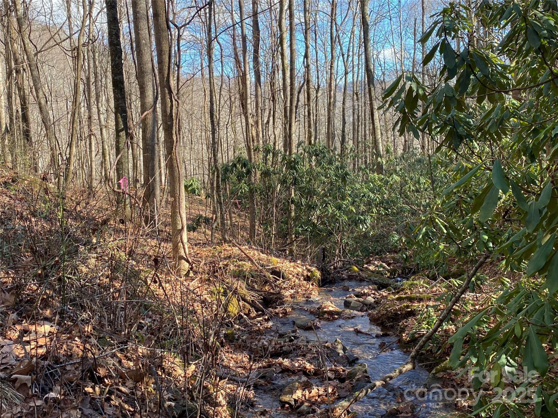 12 Laurel Branch Drive - Photo 12