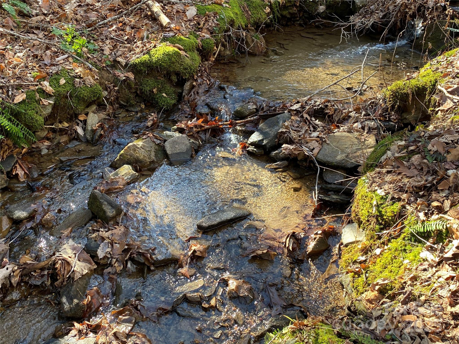 12 Laurel Branch Drive - Photo 13