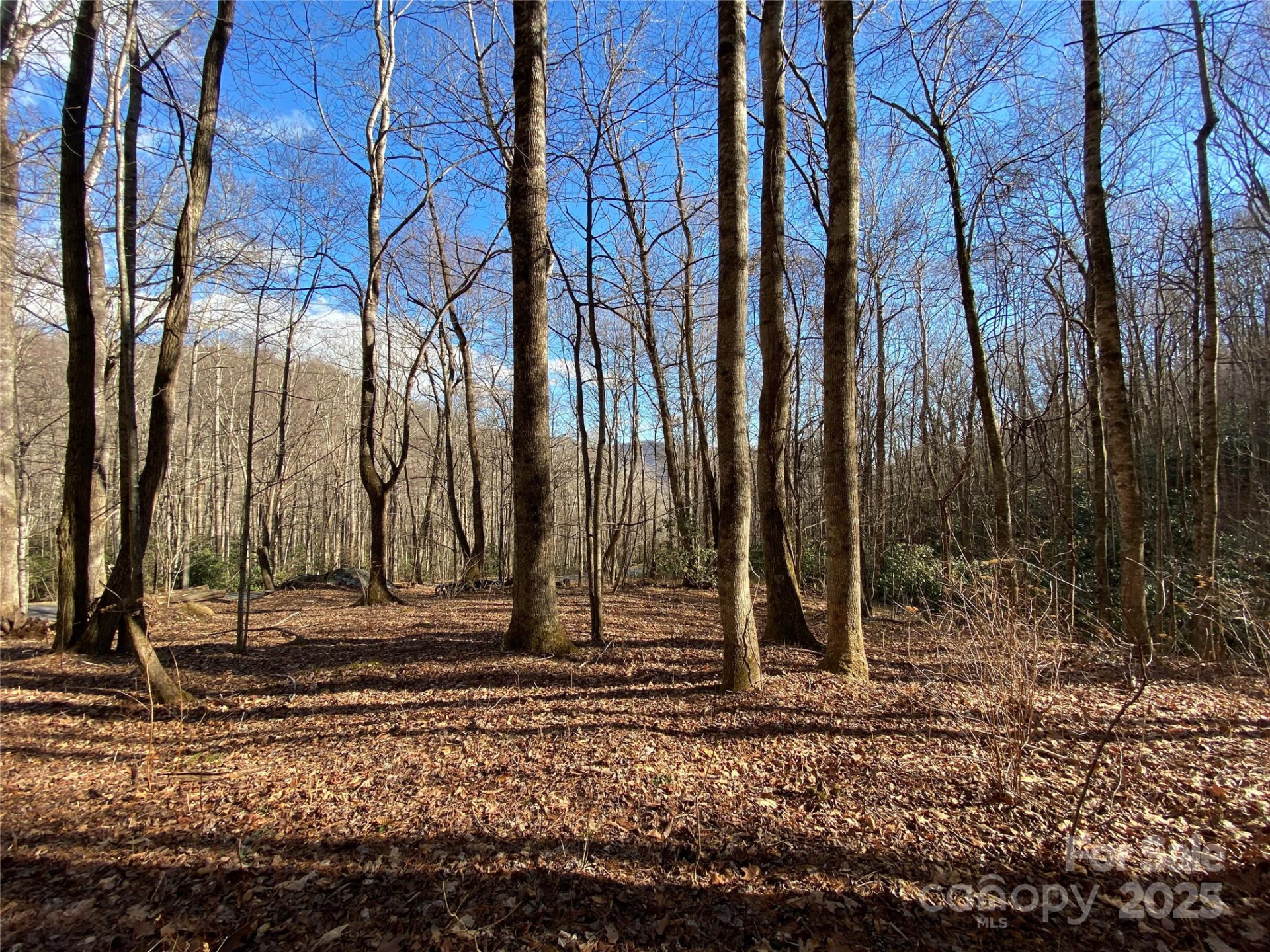 12 Laurel Branch Drive - Photo 14