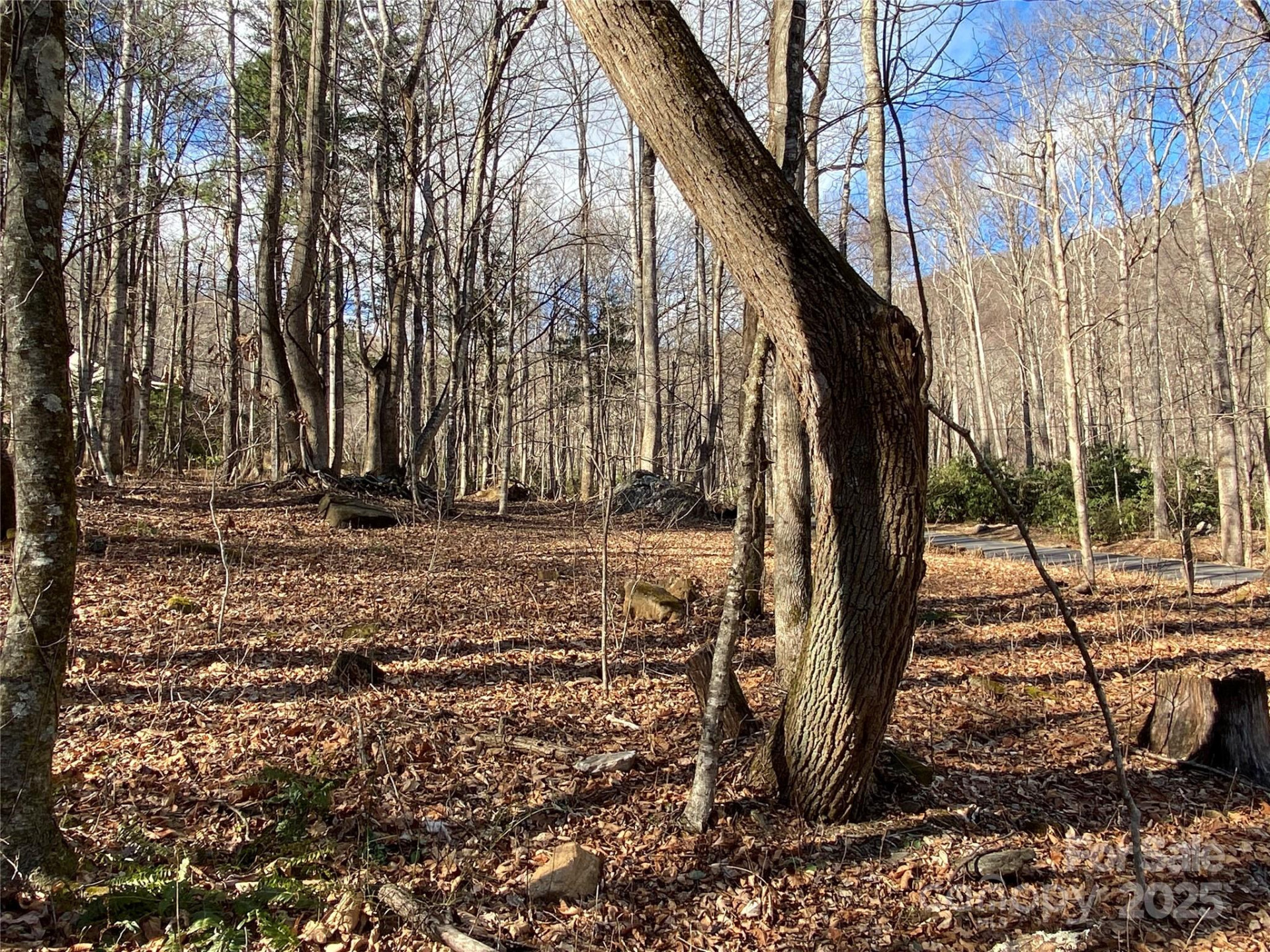 12 Laurel Branch Drive - Photo 16