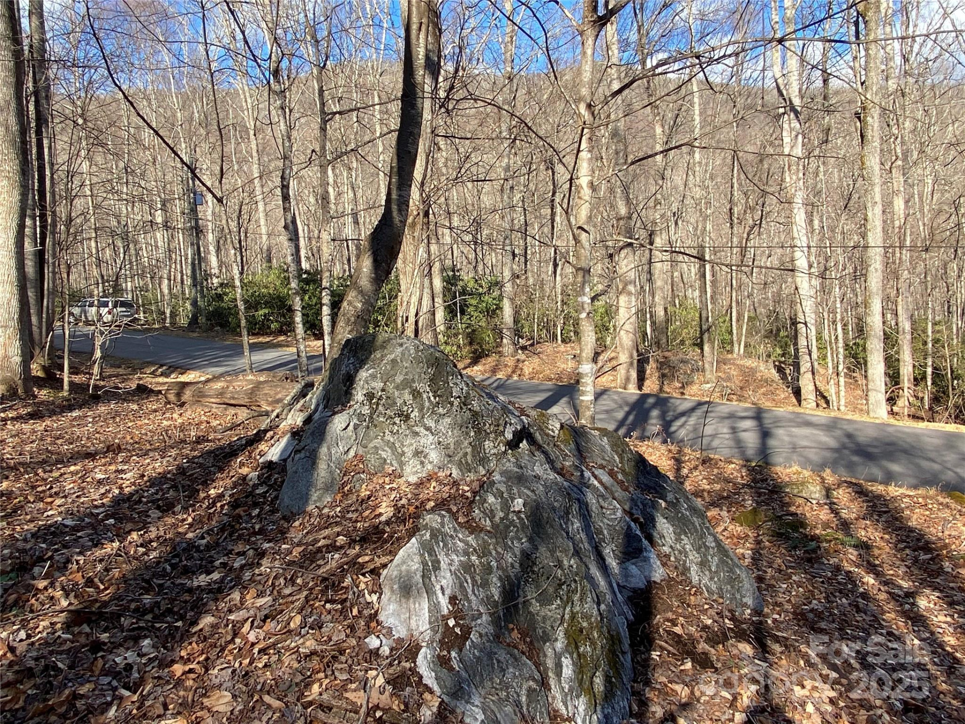 12 Laurel Branch Drive - Photo 18