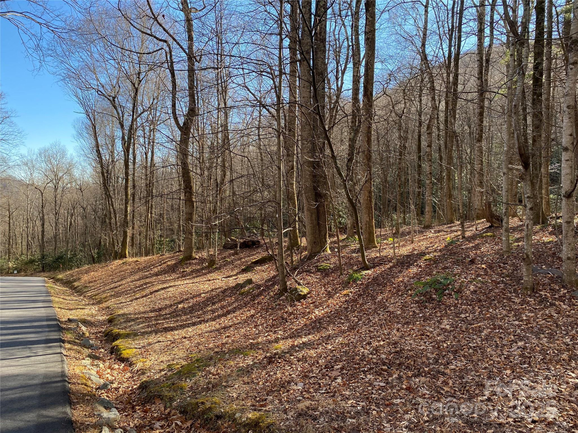 12 Laurel Branch Drive - Photo 19