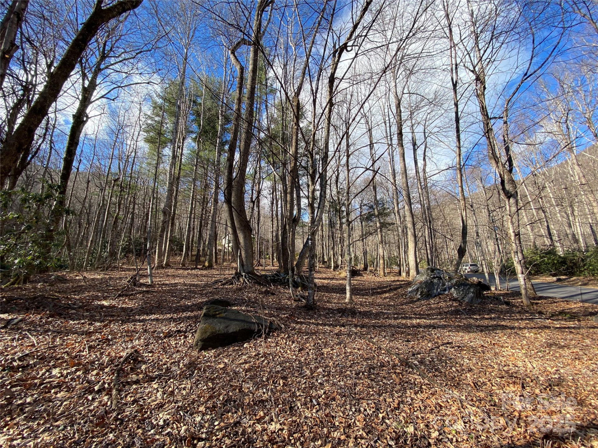 12 Laurel Branch Drive - Photo 20