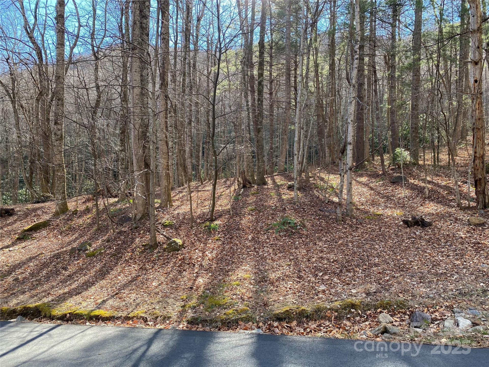 12 Laurel Branch Drive - Photo 21