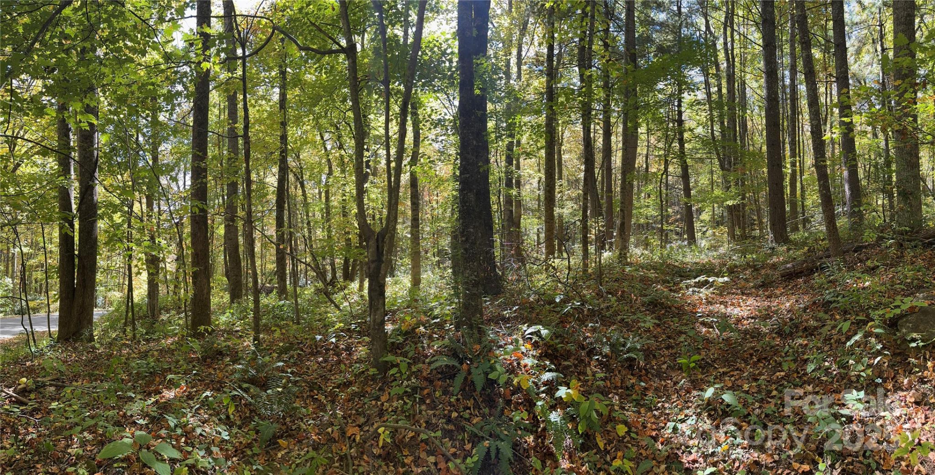 12 Laurel Branch Drive - Photo 22