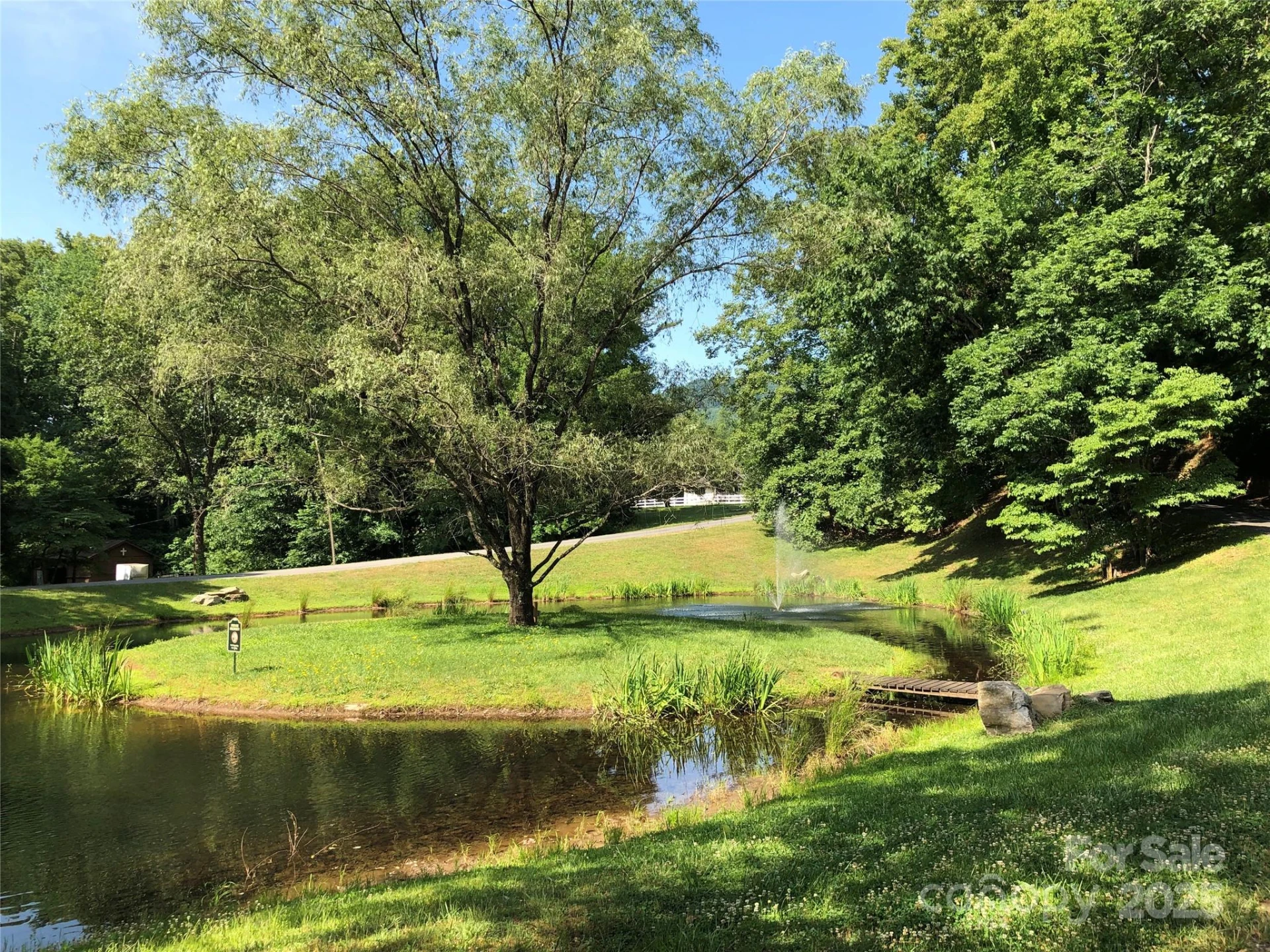 12 Laurel Branch Drive - Photo 4