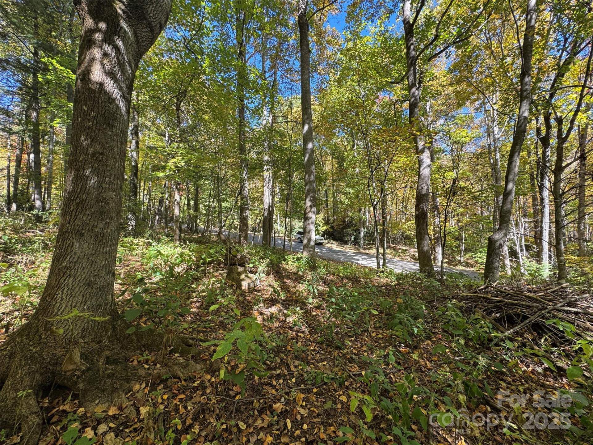 12 Laurel Branch Drive - Photo 5