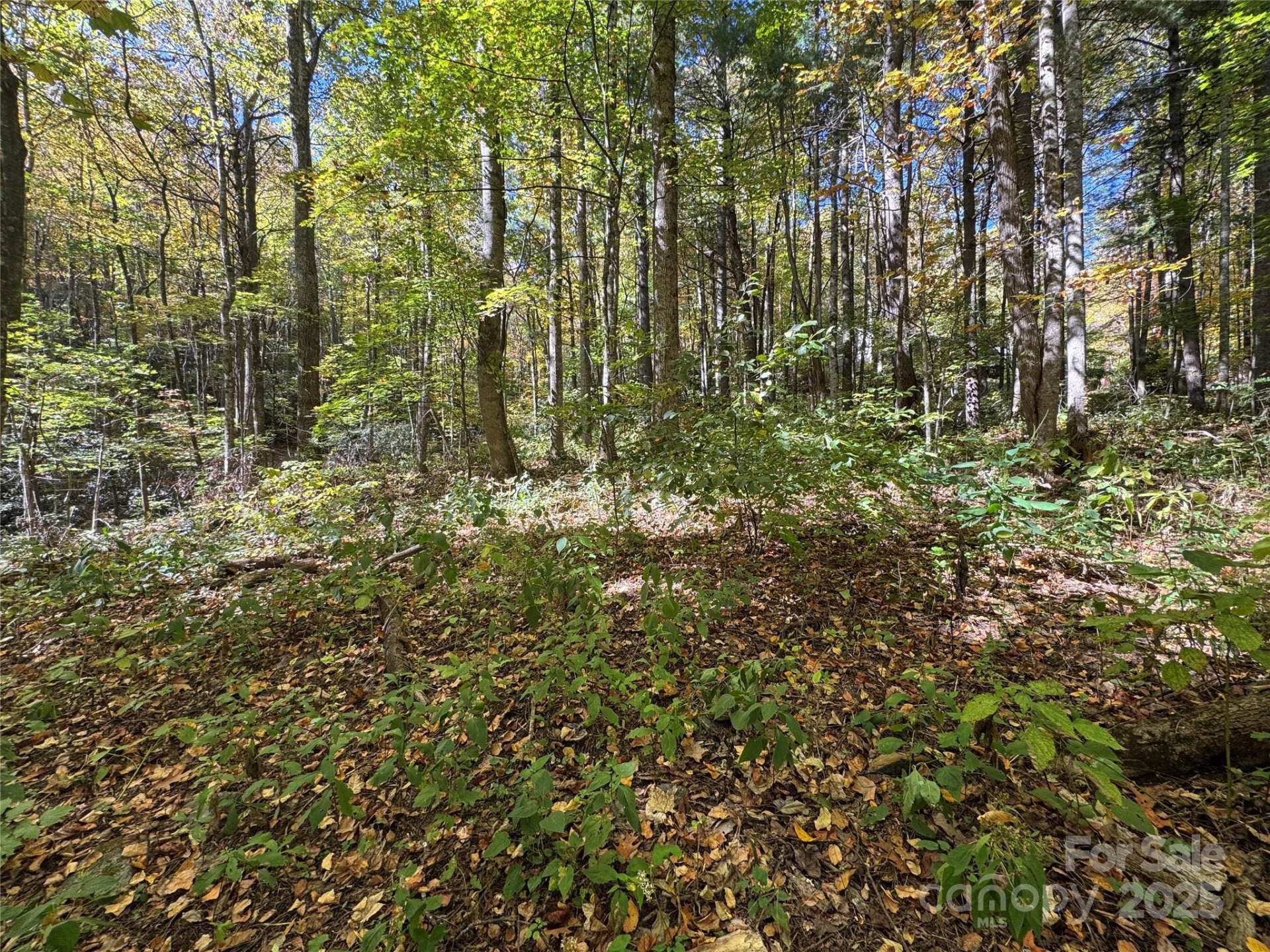 12 Laurel Branch Drive - Photo 7