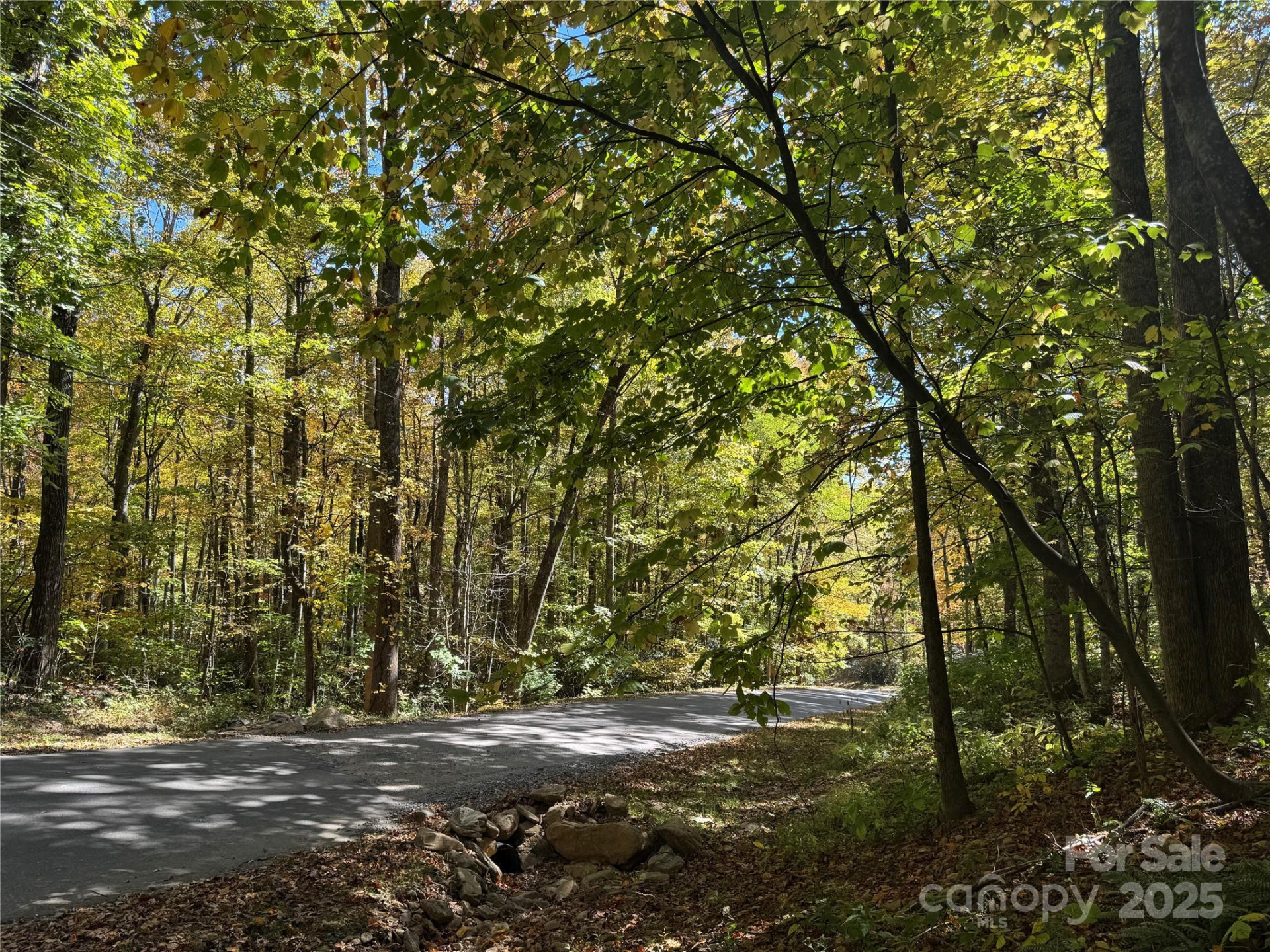 12 Laurel Branch Drive - Photo 8