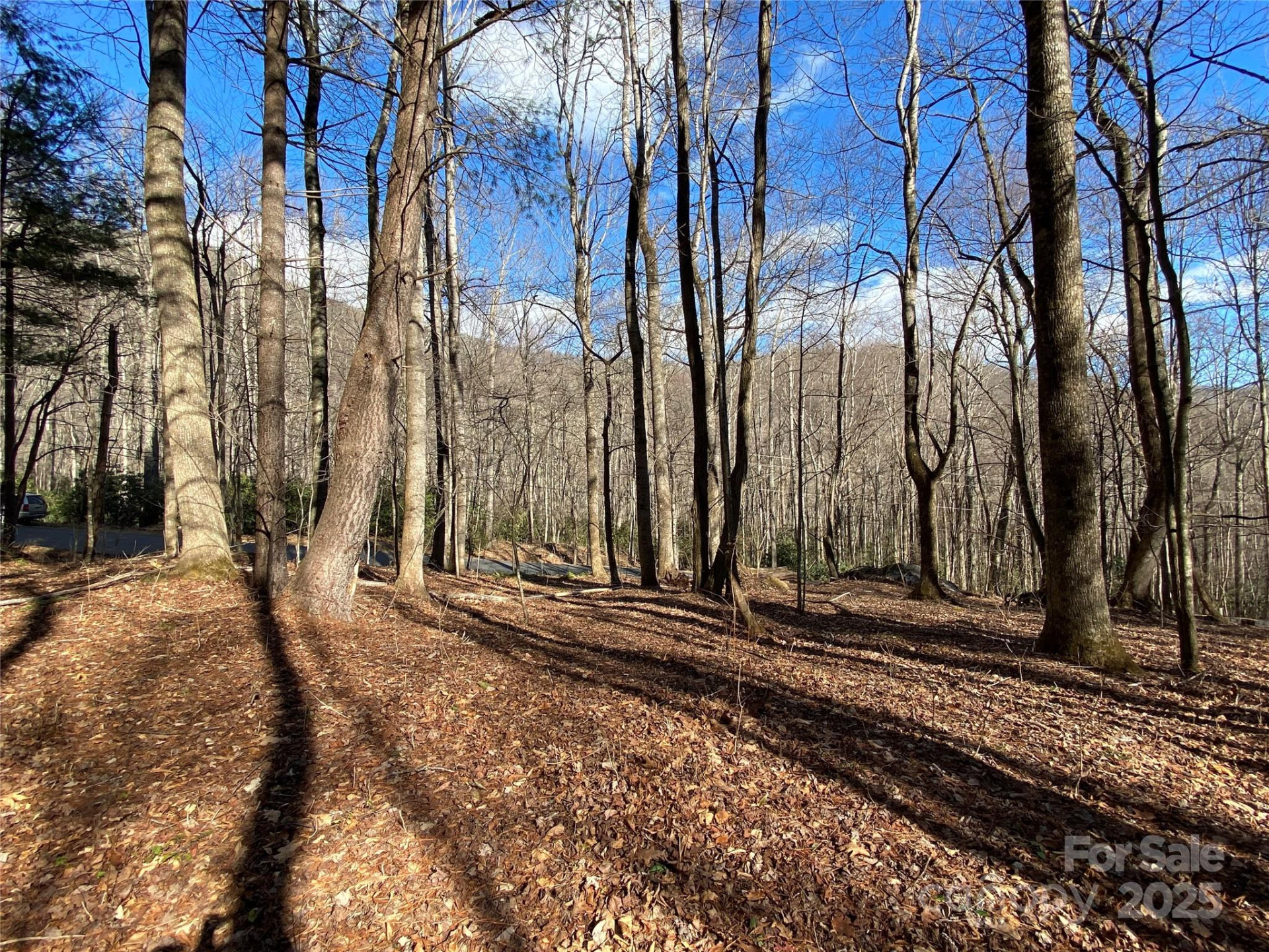 12 Laurel Branch Drive - Photo 10