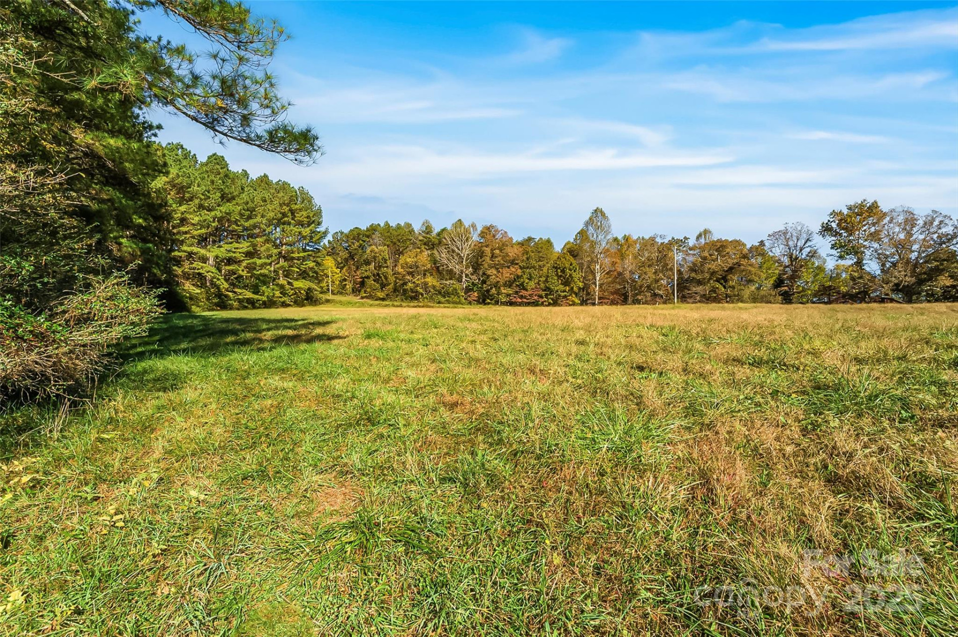 Land 96 Patton Valley Drive
