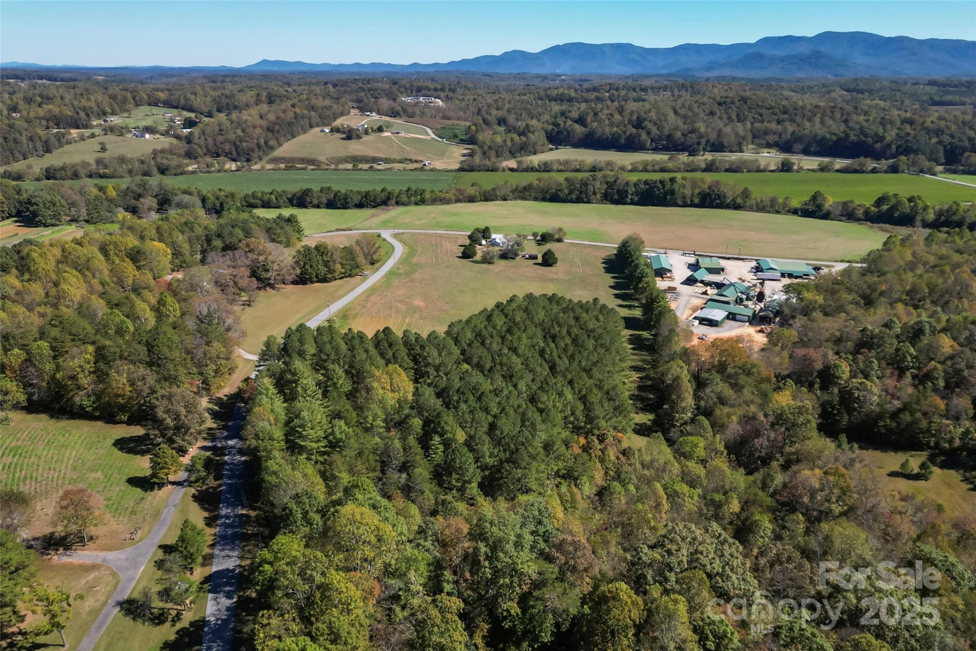 Land 96 Patton Valley Drive - Photo 2