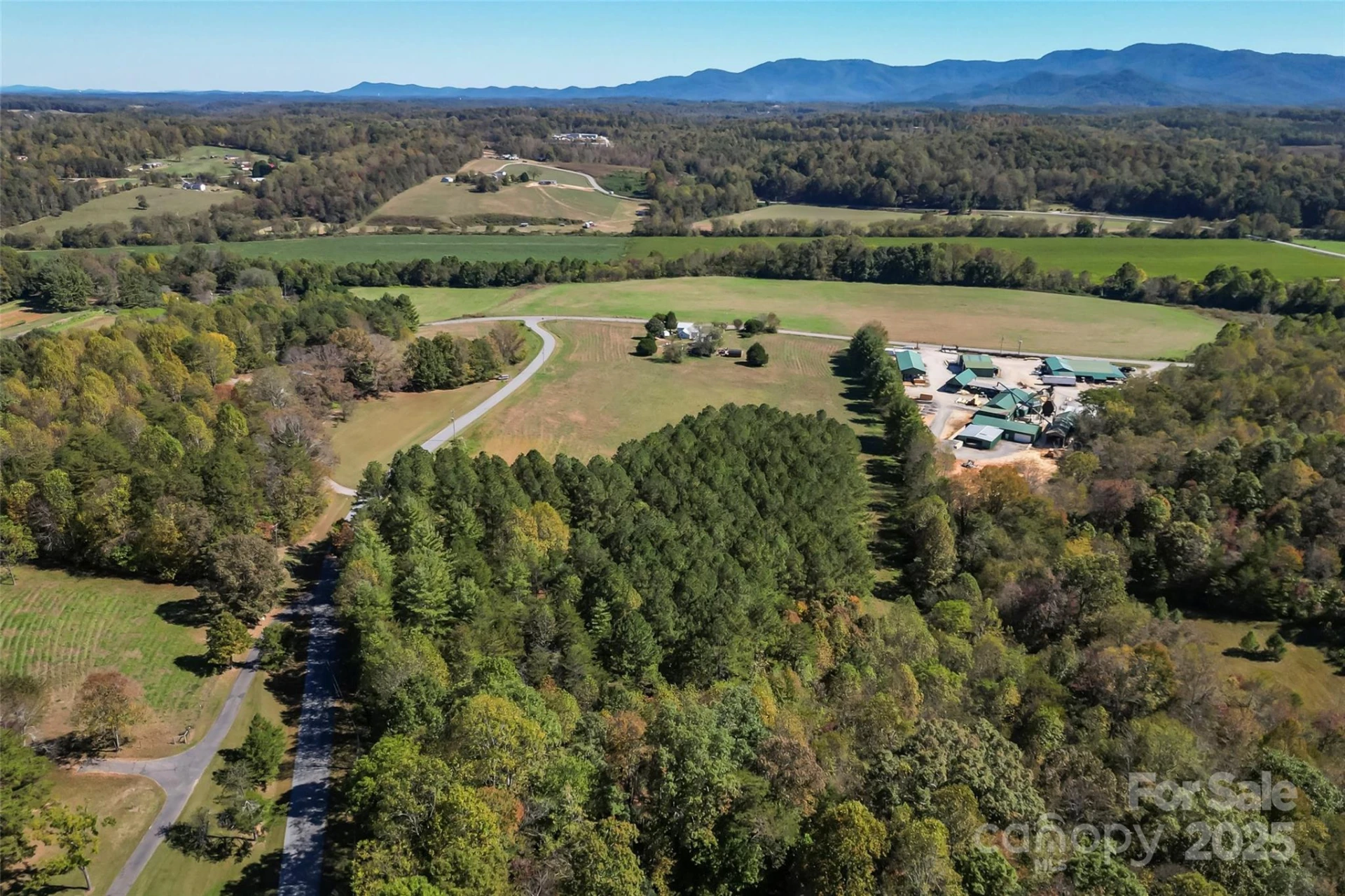 Land 96 Patton Valley Drive - Photo 2