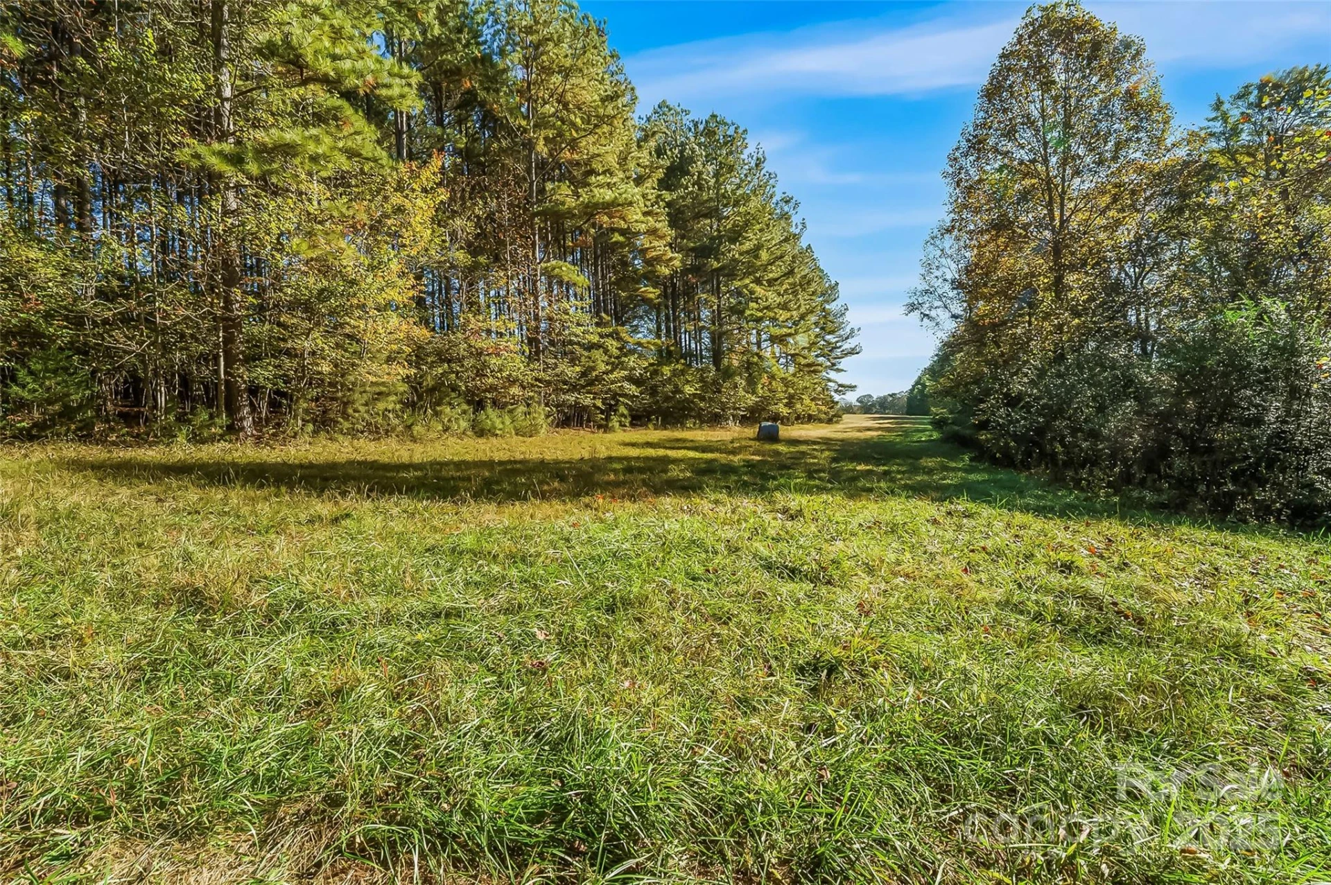 Land 96 Patton Valley Drive - Photo 3