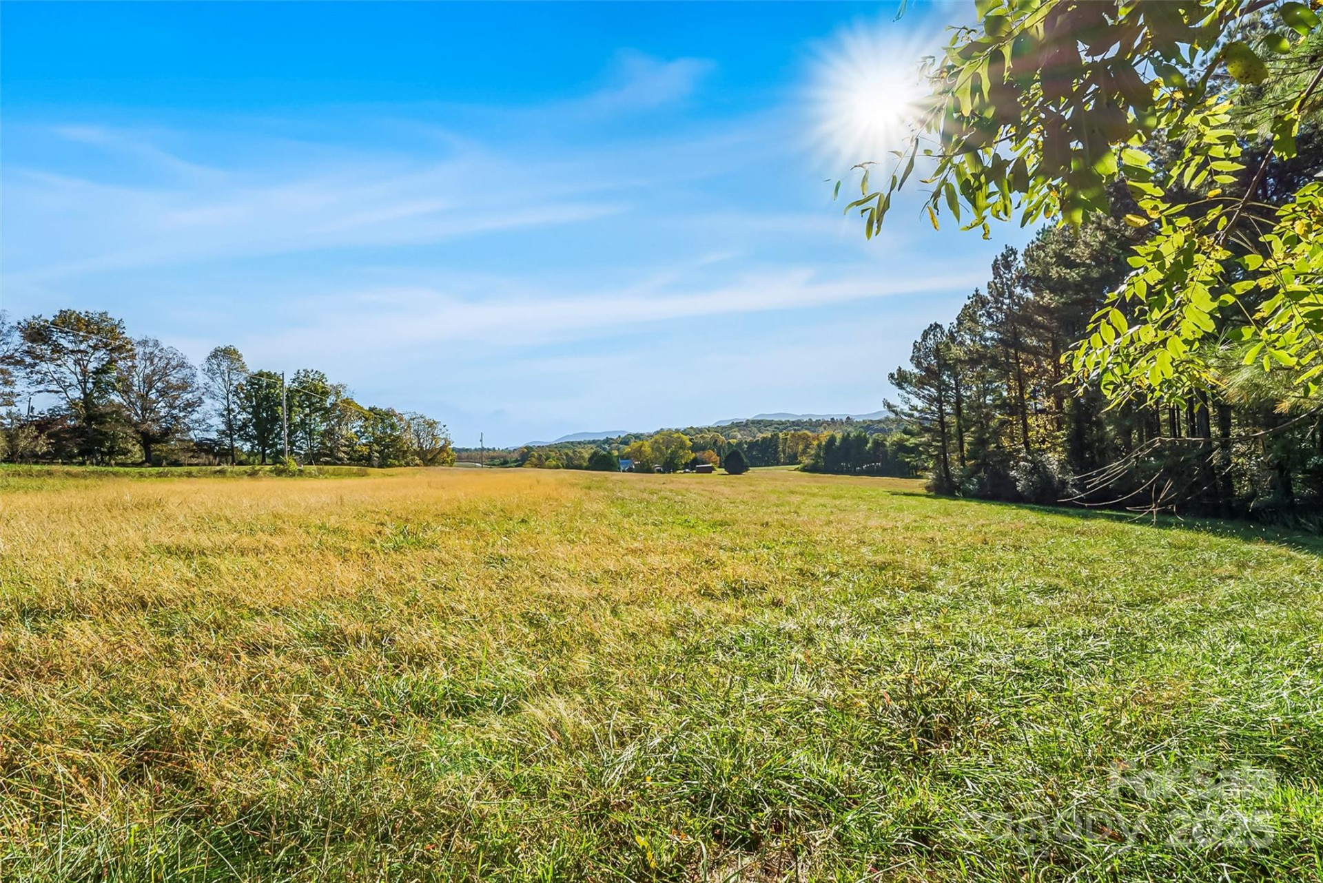 Land 96 Patton Valley Drive - Photo 4