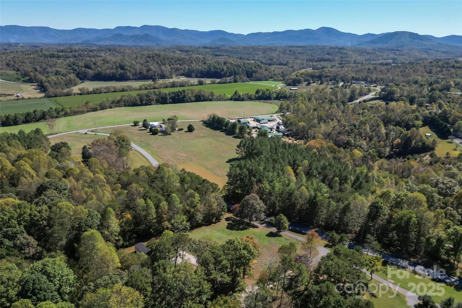 Land 96 Patton Valley Drive - Photo 6