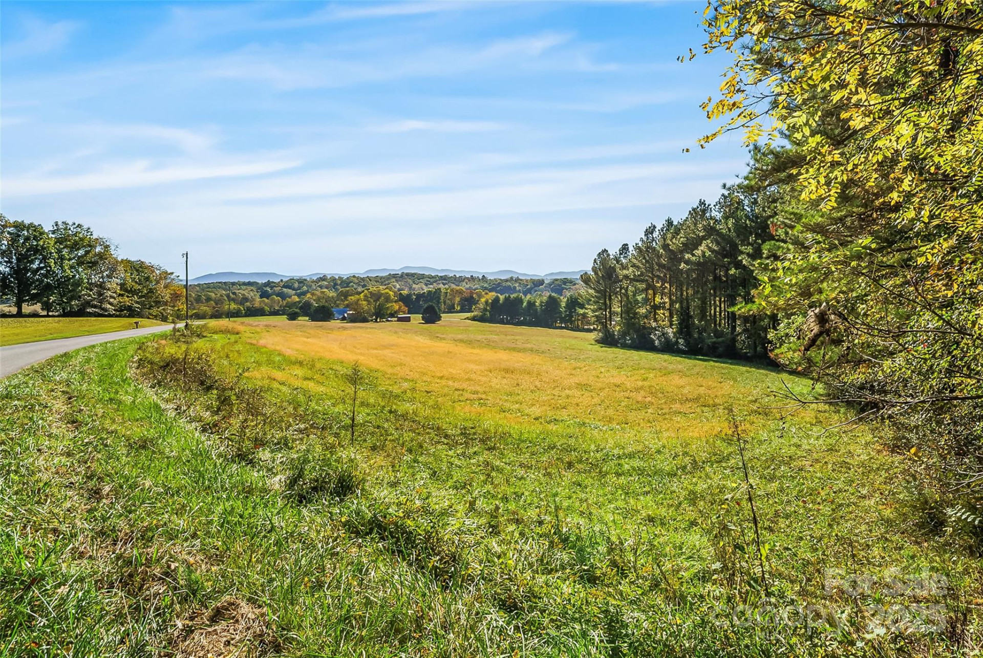 Land 96 Patton Valley Drive - Photo 8