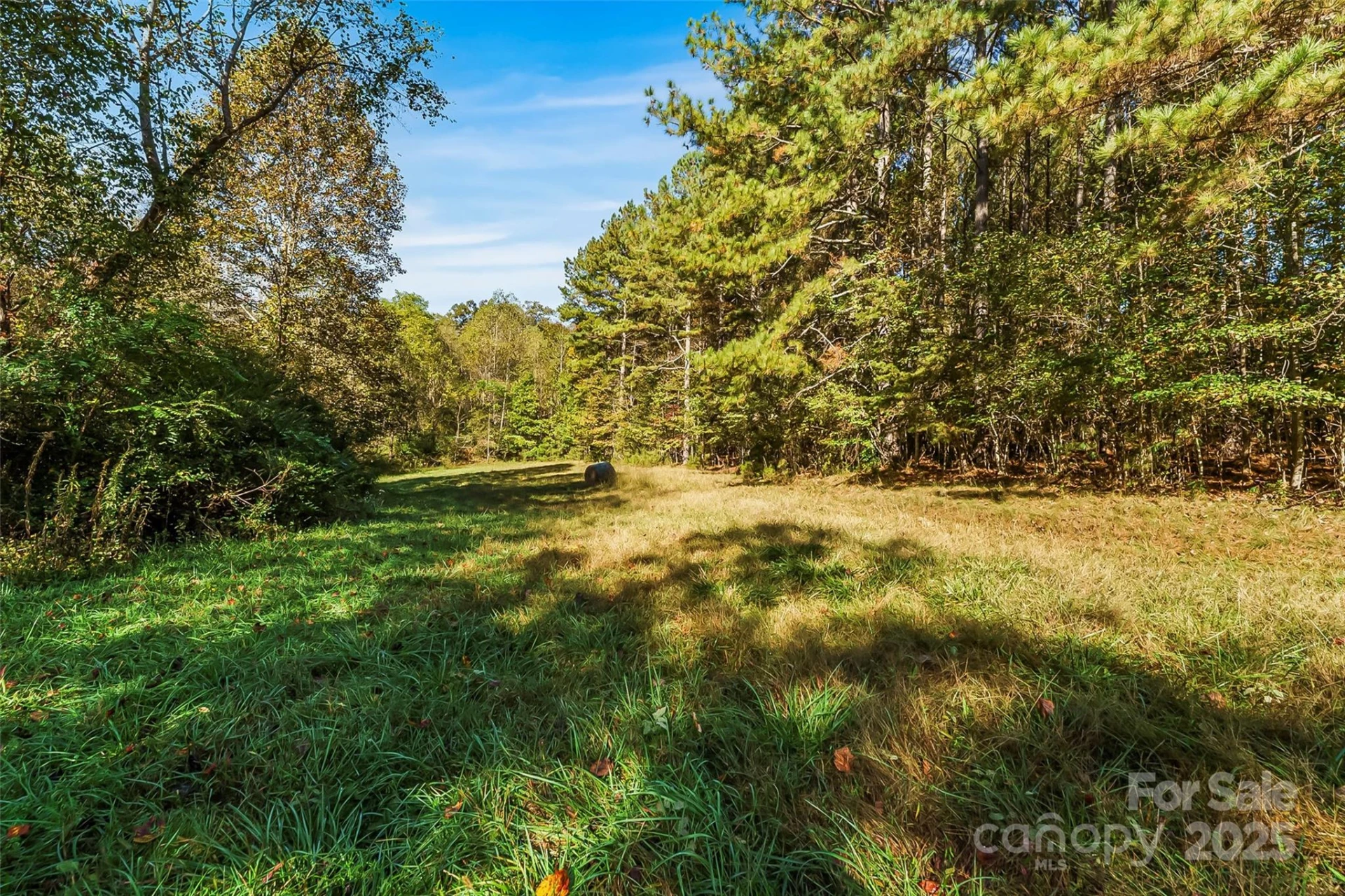 Land 96 Patton Valley Drive - Photo 9