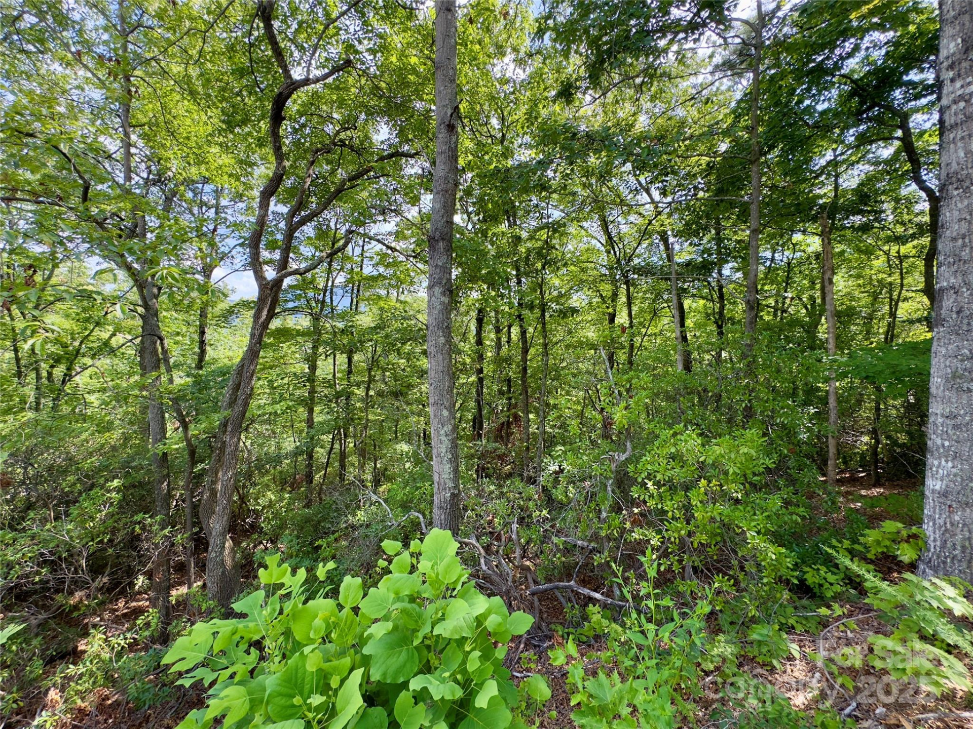 94 Galax Drive #T-44 - Photo 11