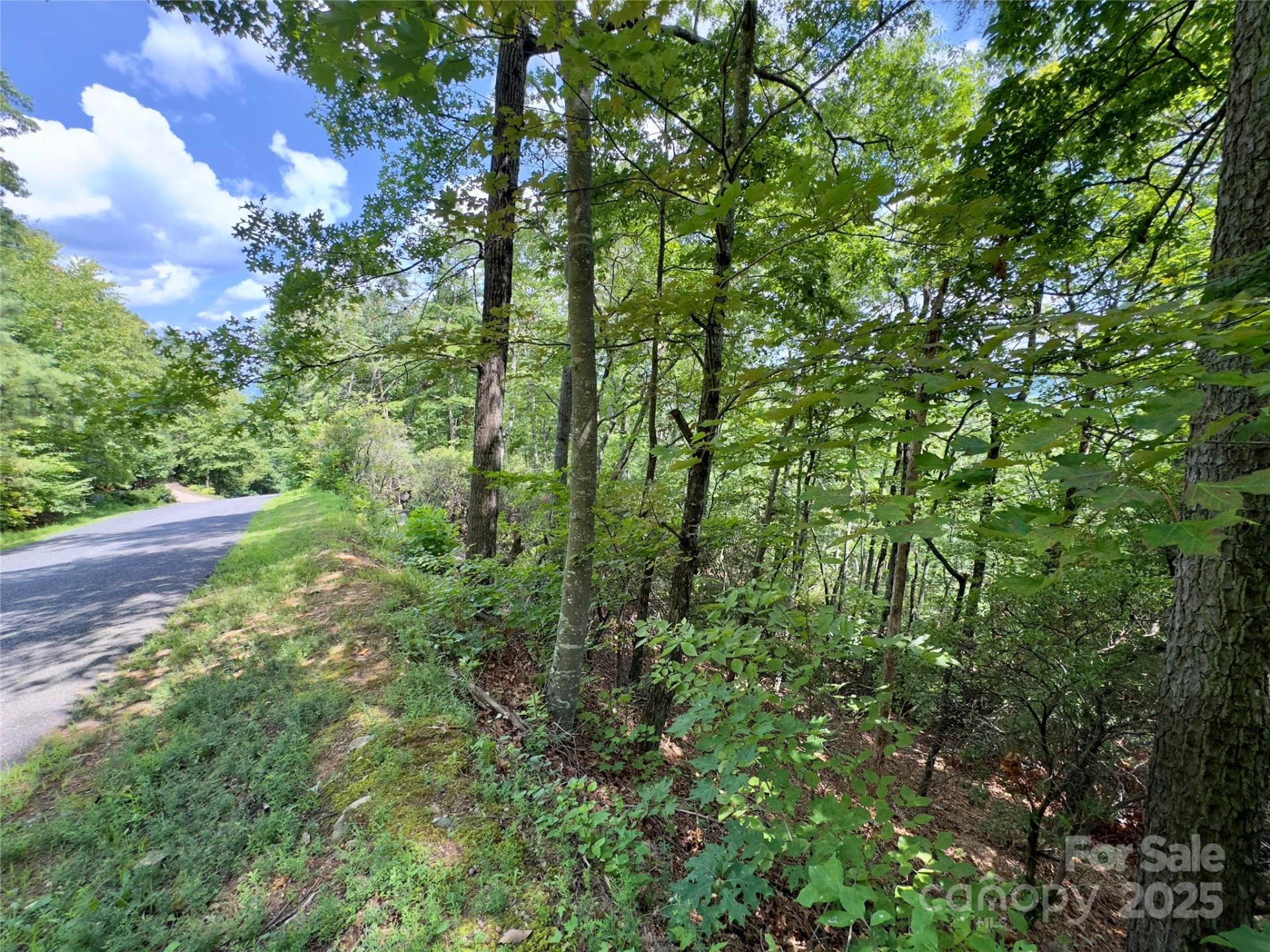 94 Galax Drive #T-44 - Photo 4