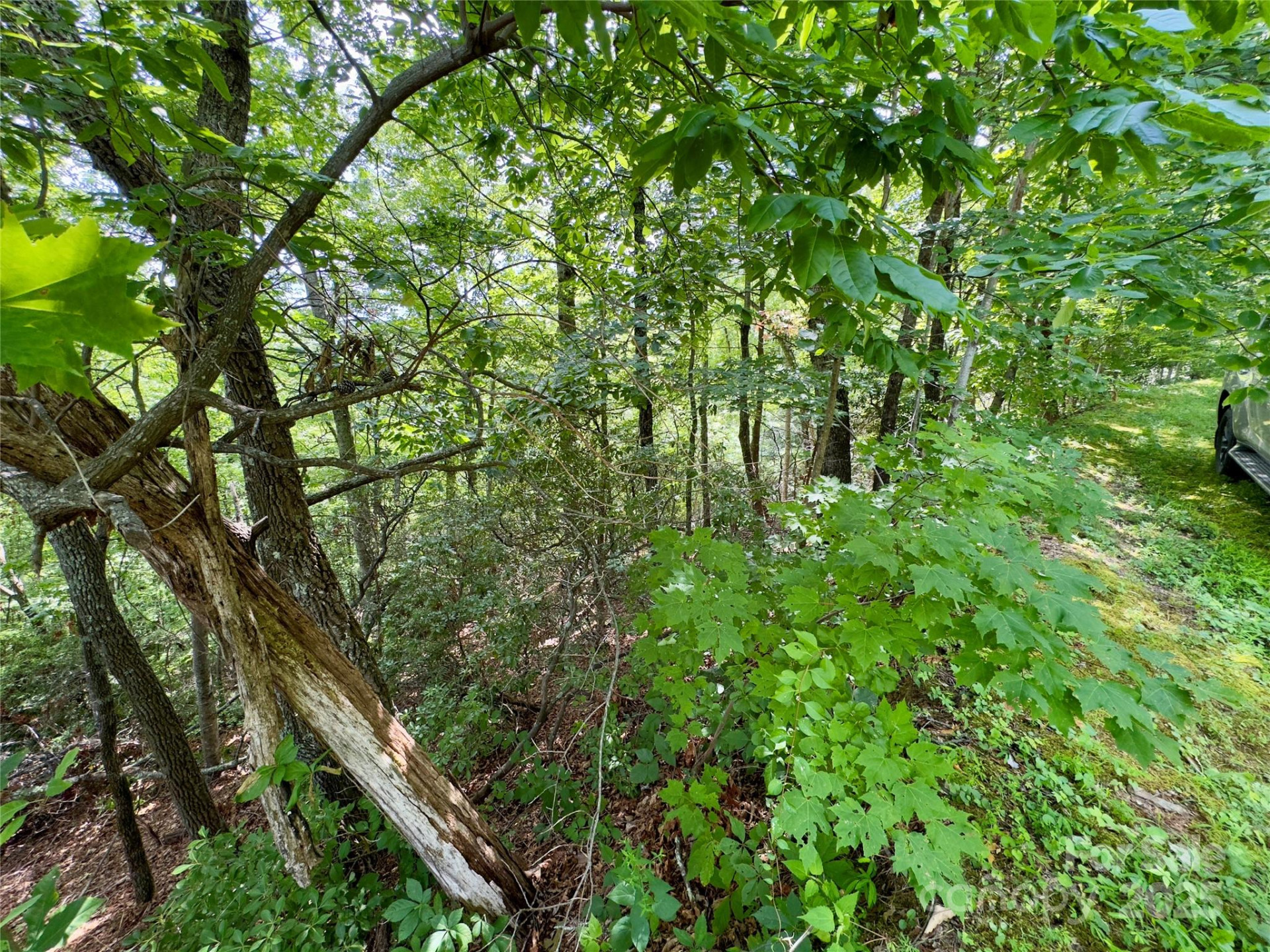 94 Galax Drive #T-44 - Photo 5