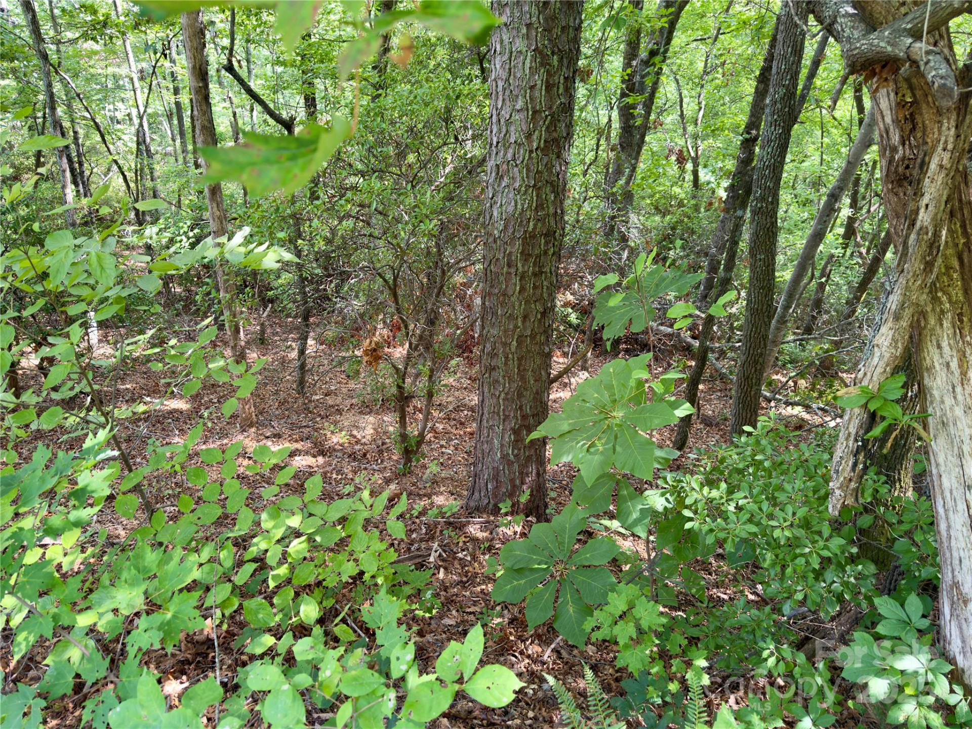 94 Galax Drive #T-44 - Photo 7