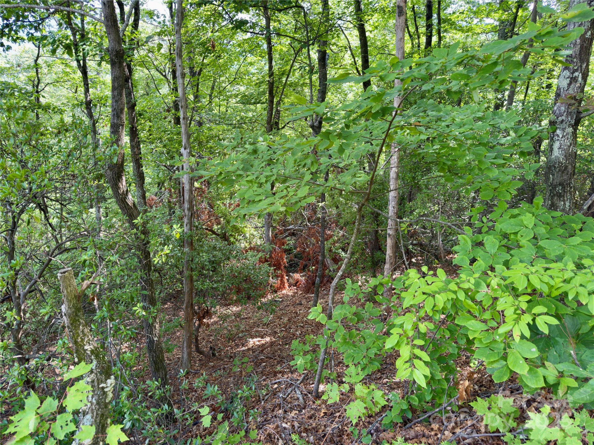 94 Galax Drive #T-44 - Photo 8