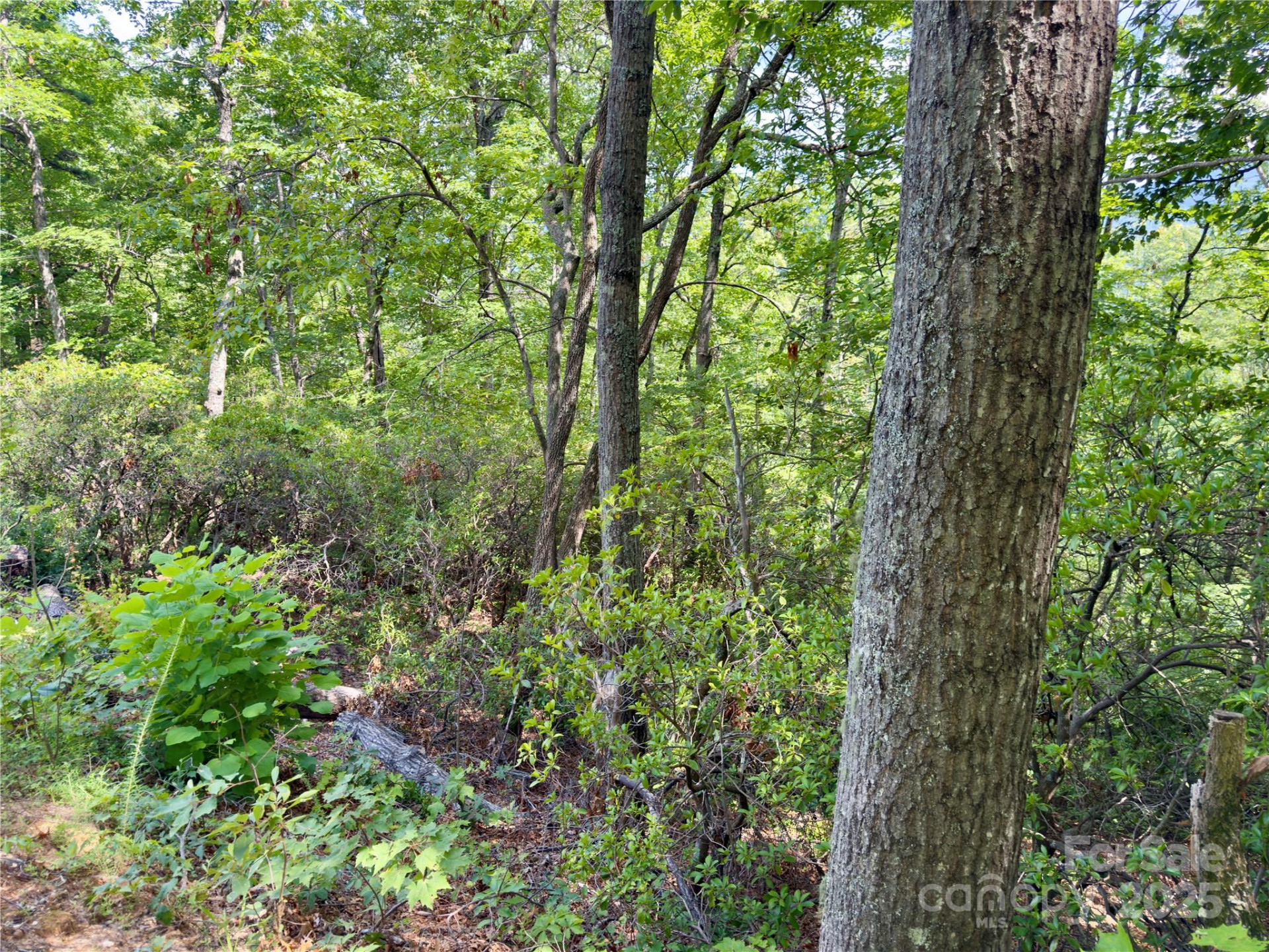 94 Galax Drive #T-44 - Photo 9