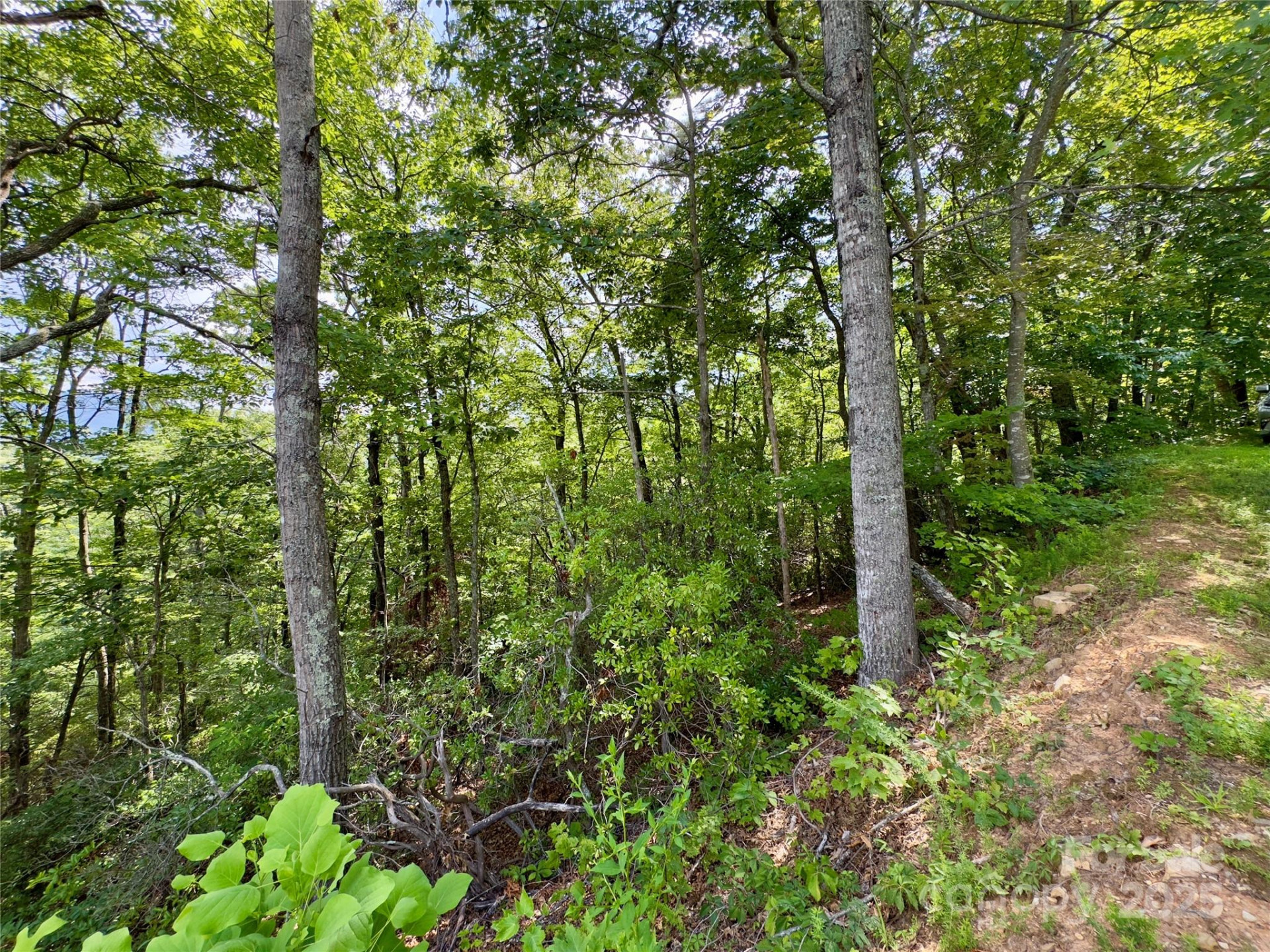 94 Galax Drive #T-44 - Photo 10