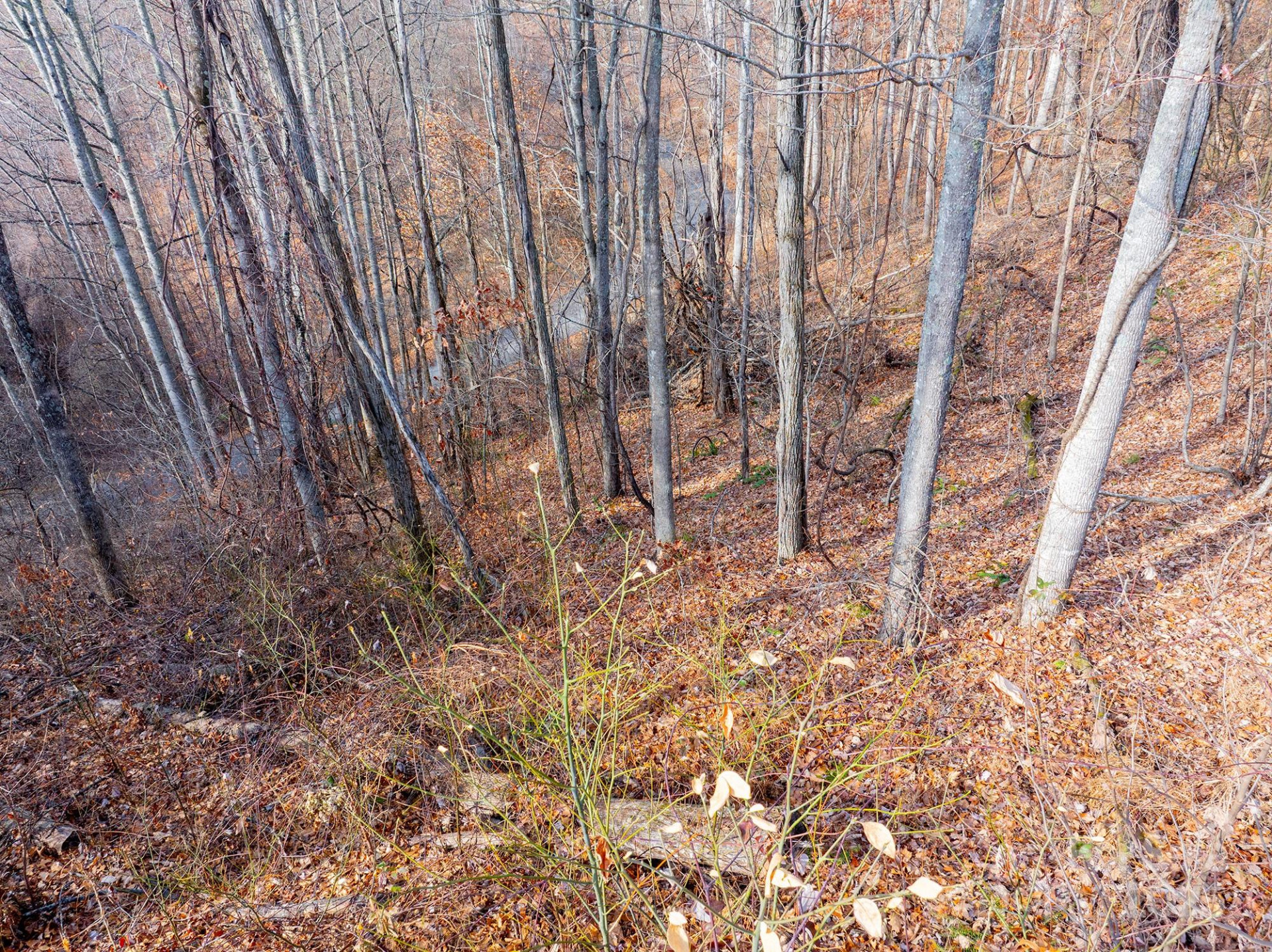 00 Seven Glens Drive #171 - Photo 22