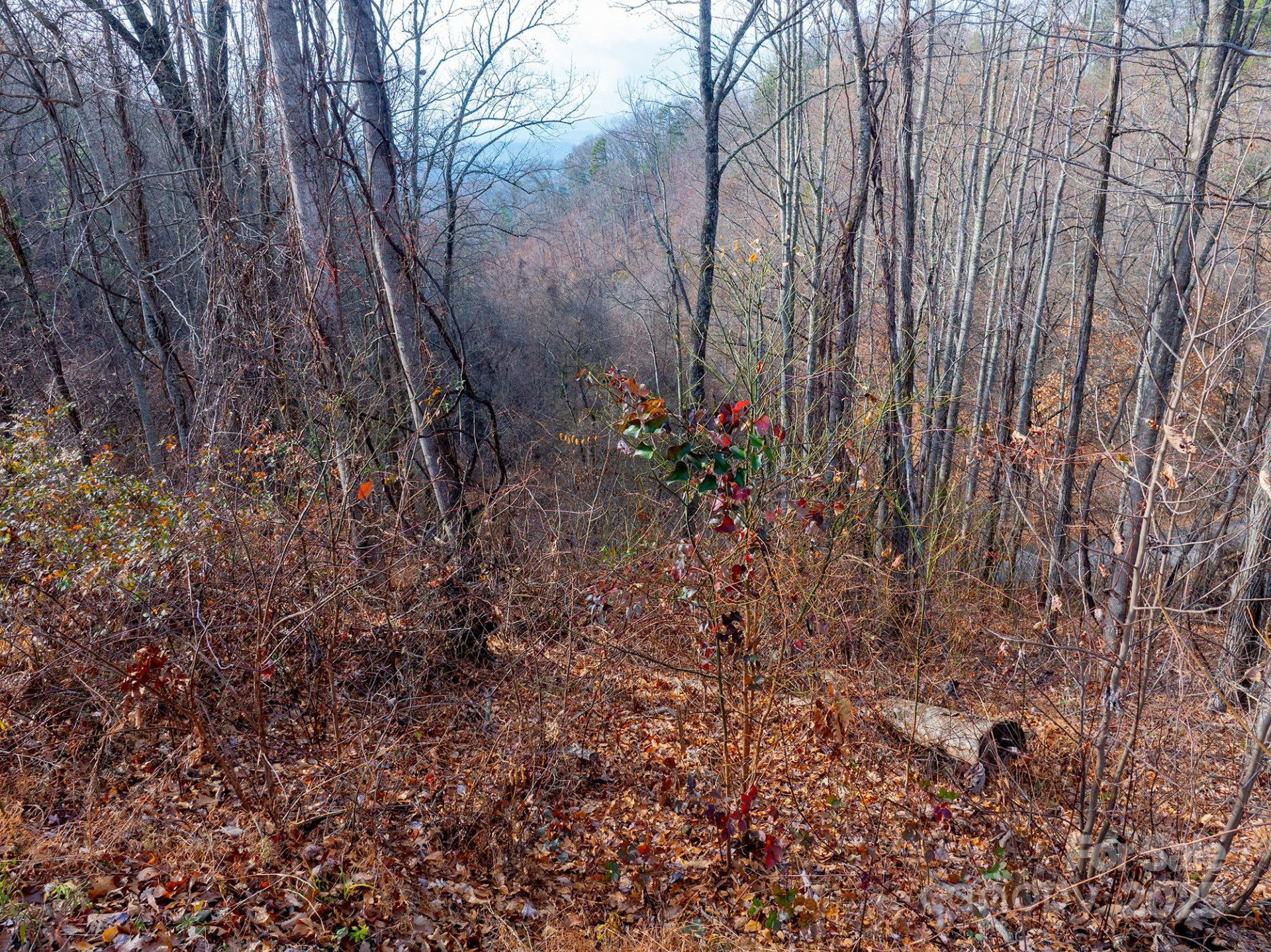 00 Seven Glens Drive #171 - Photo 23