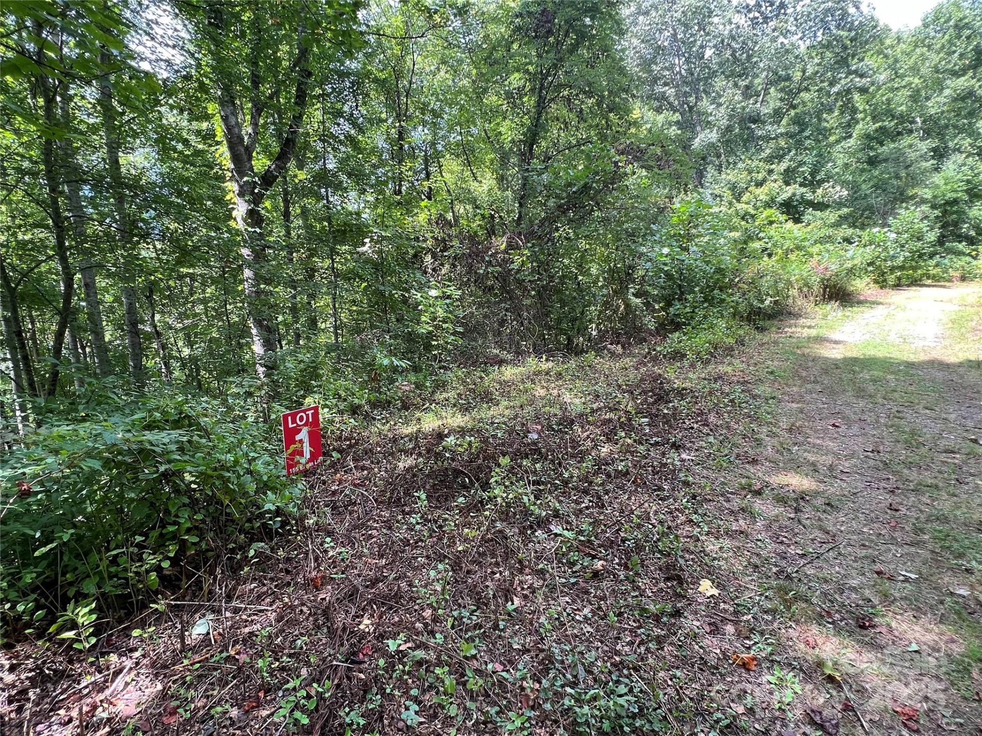 Lots  1-8 Erwin Lane - Photo 14