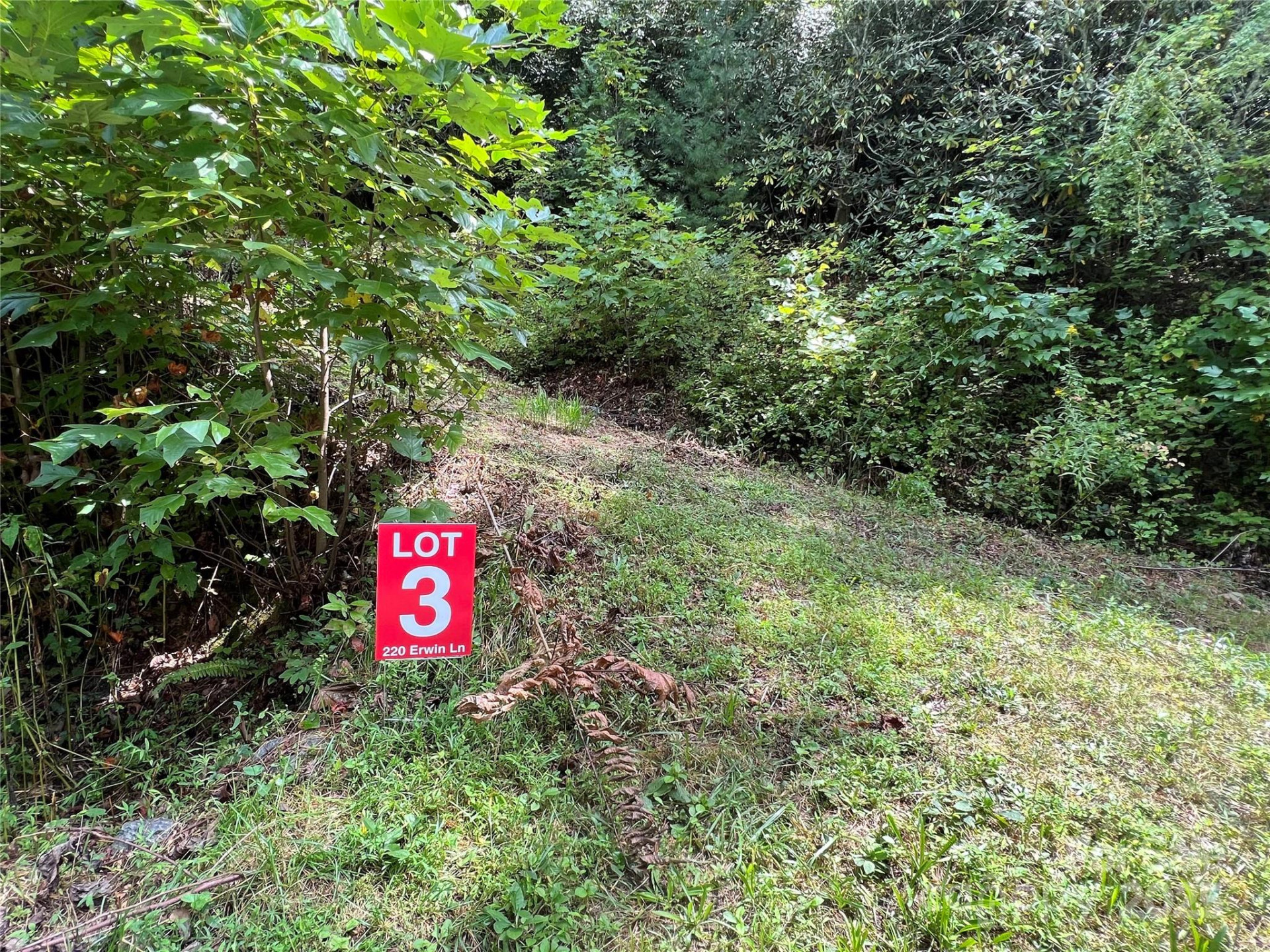 Lots  1-8 Erwin Lane - Photo 16