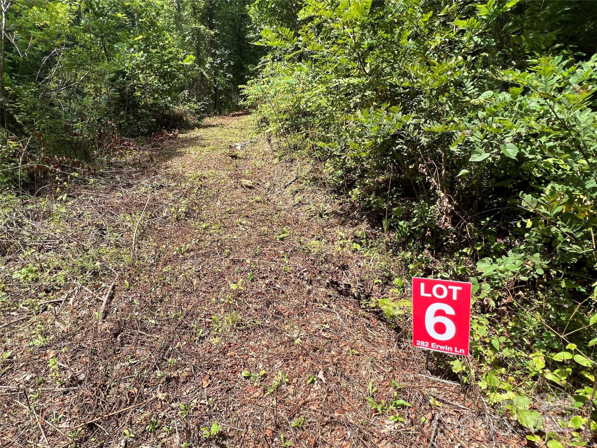 Lots  1-8 Erwin Lane - Photo 19