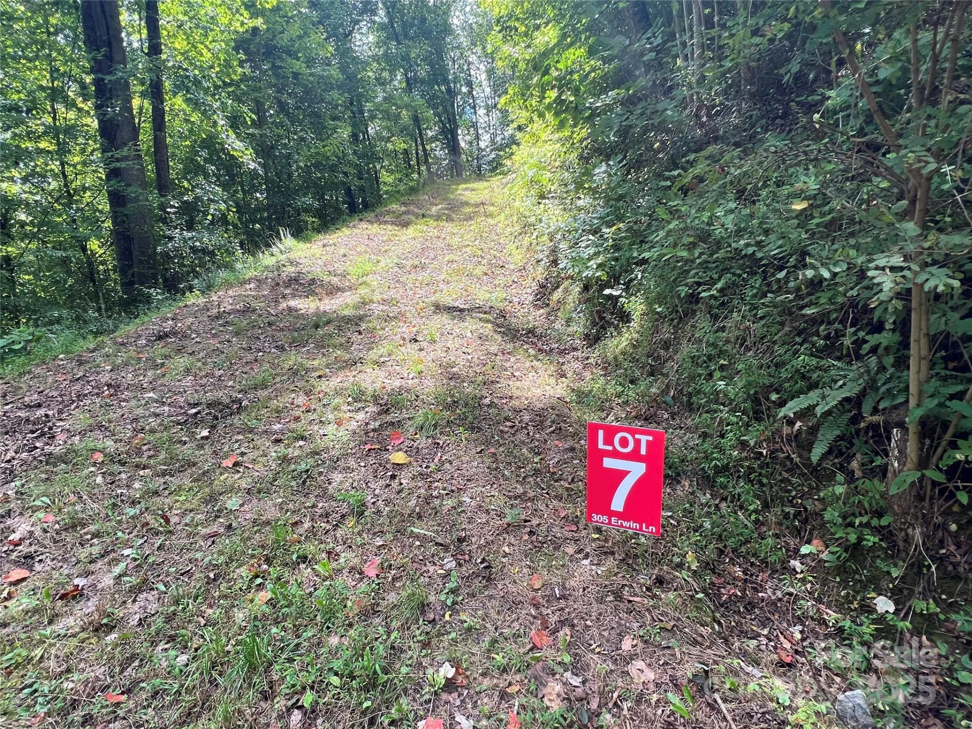 Lots  1-8 Erwin Lane - Photo 20