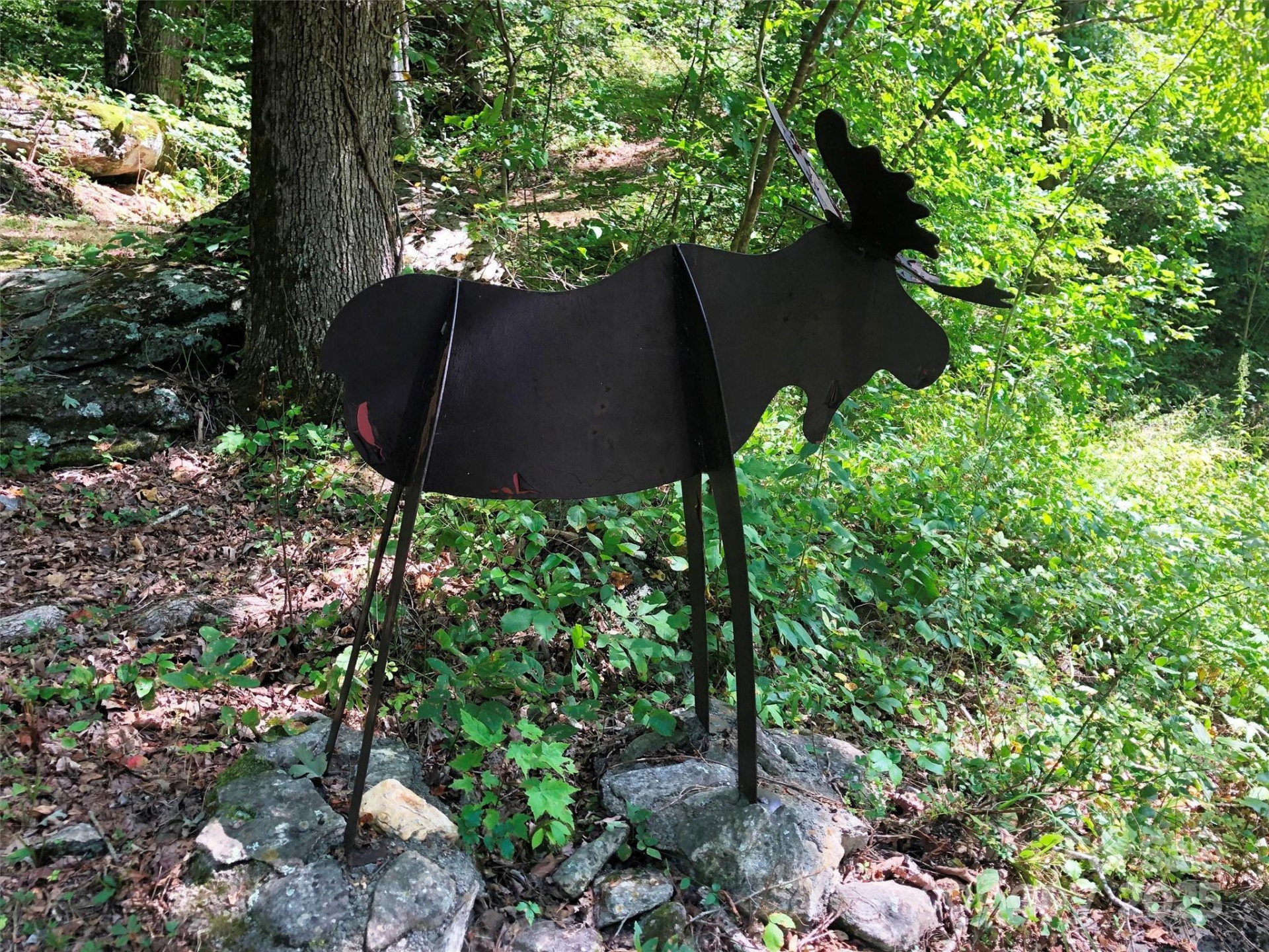 Lots  1-8 Erwin Lane - Photo 3