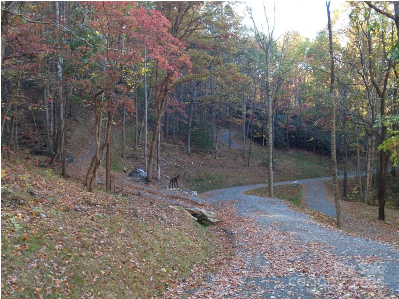 Lots  1-8 Erwin Lane - Photo 22