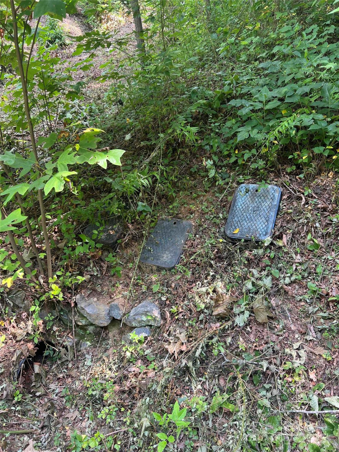 Lots  1-8 Erwin Lane - Photo 25