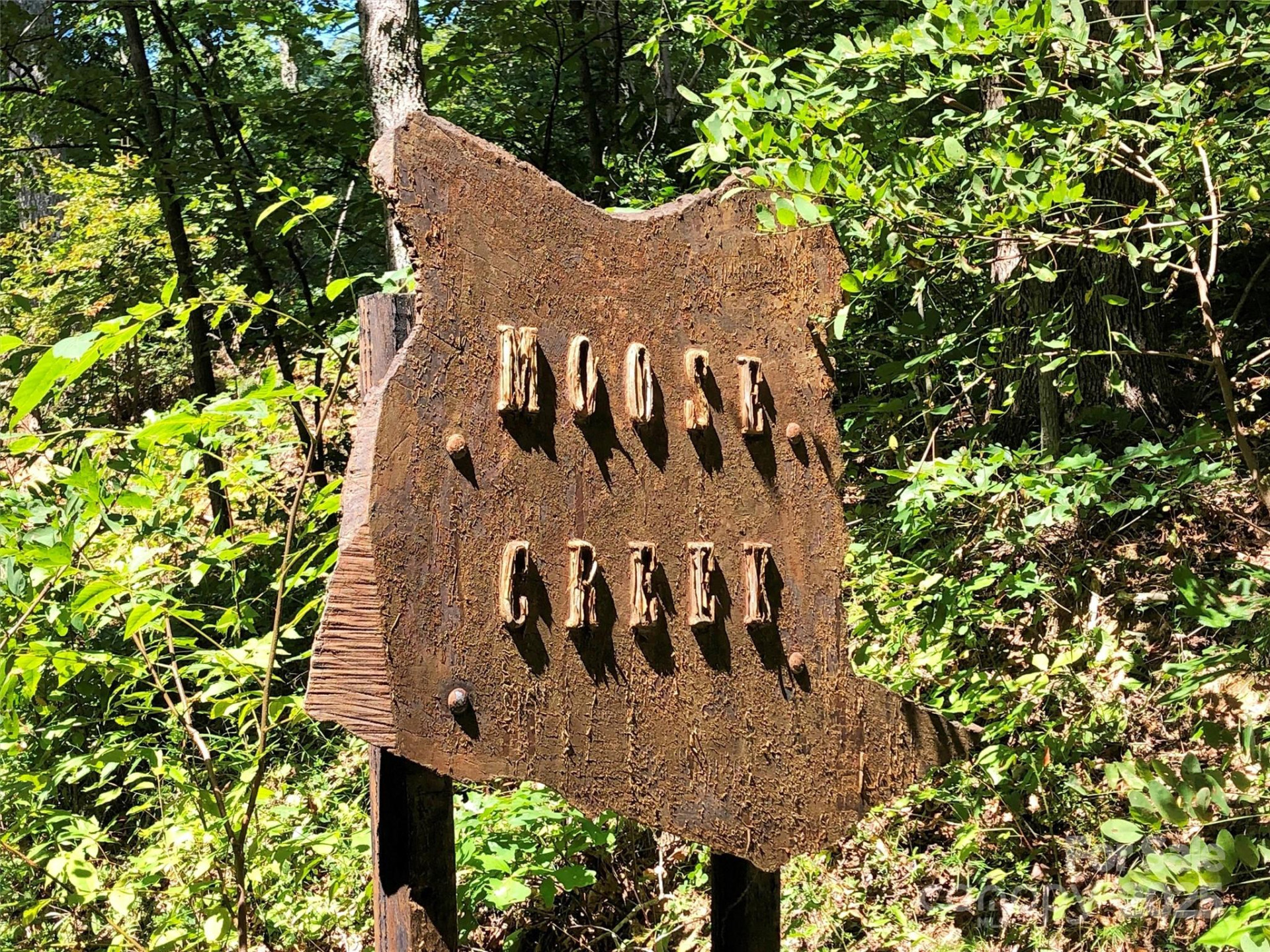 Lots  1-8 Erwin Lane - Photo 4