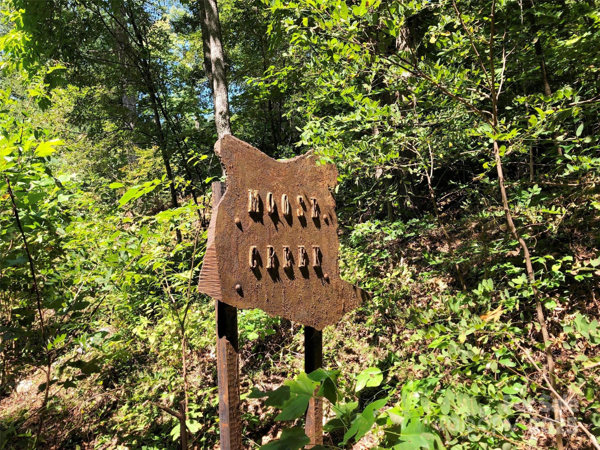 Lots  1-8 Erwin Lane - Photo 5