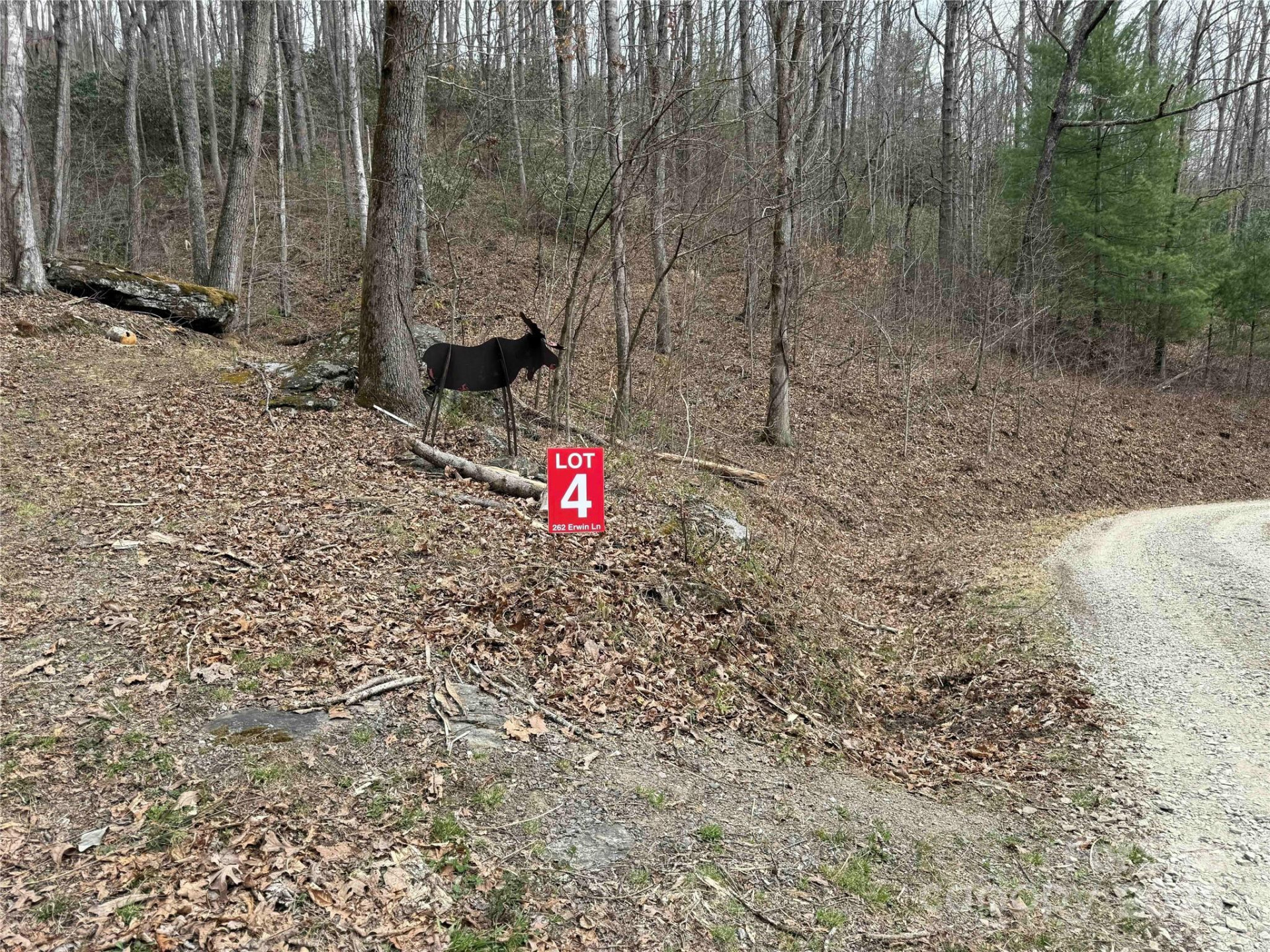 Lots  1-8 Erwin Lane - Photo 9