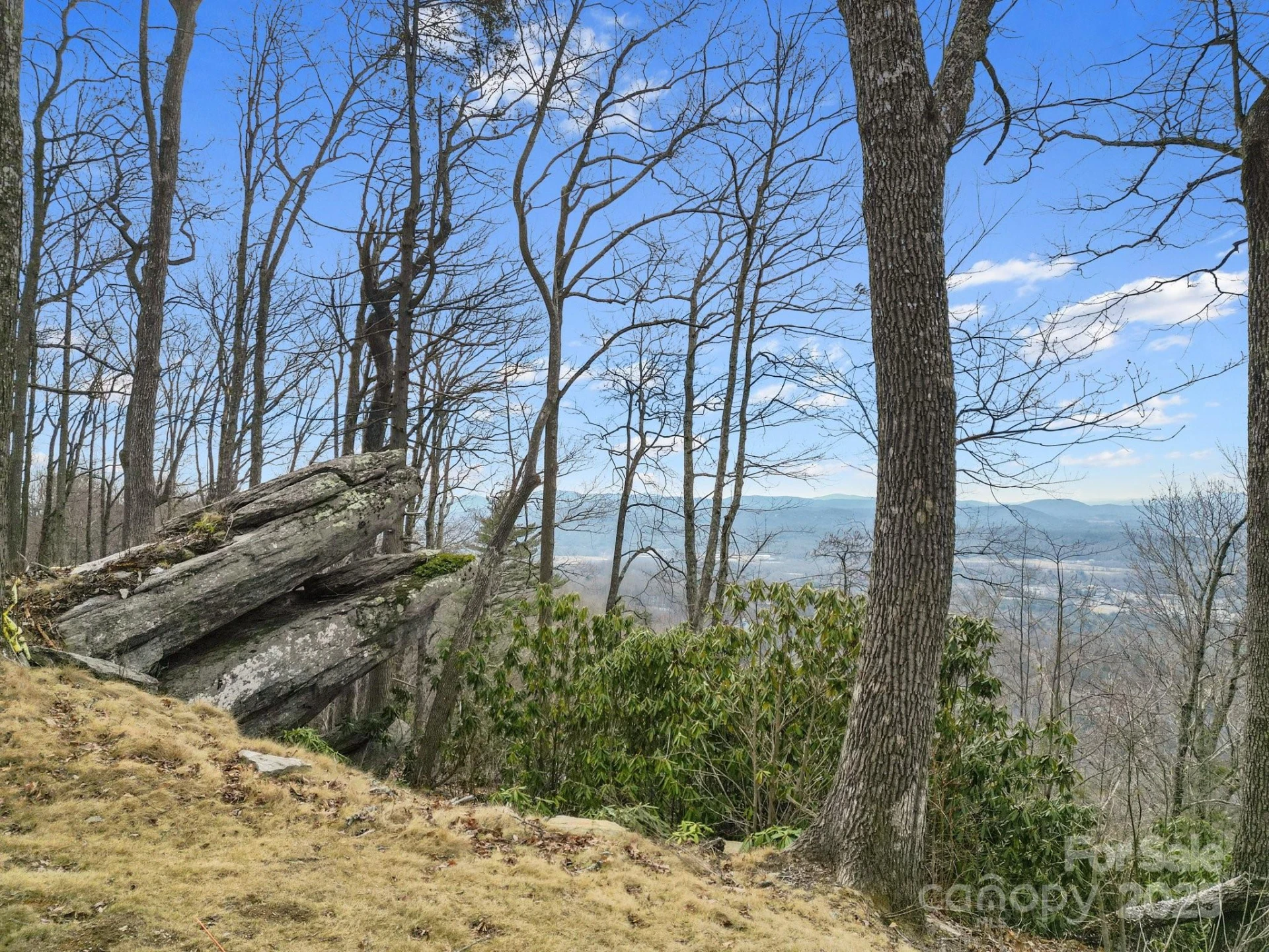 Lot 65 Featherstone Drive #65