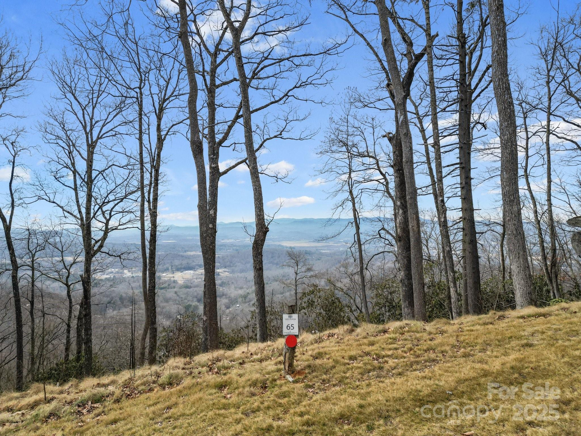 Lot 65 Featherstone Drive #65 - Photo 2