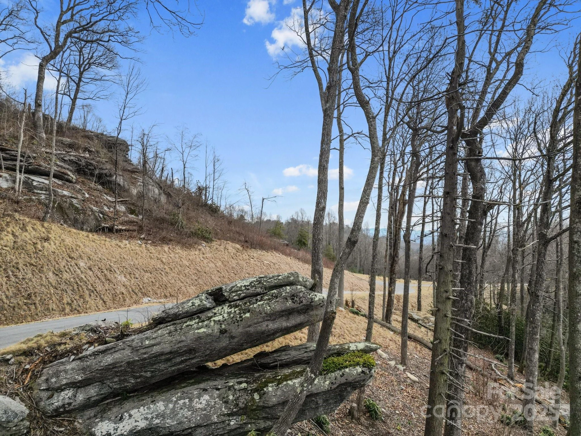 Lot 65 Featherstone Drive #65 - Photo 3