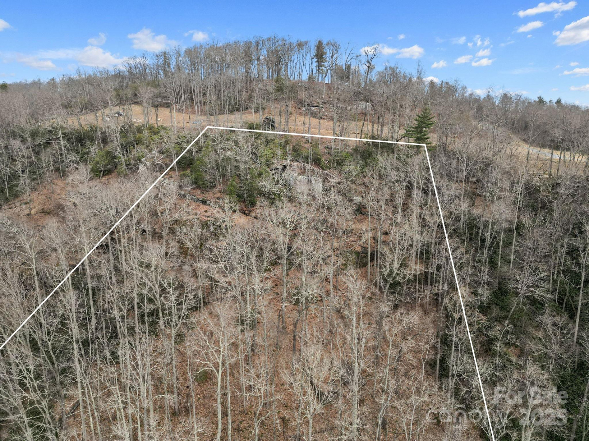 Lot 65 Featherstone Drive #65 - Photo 29